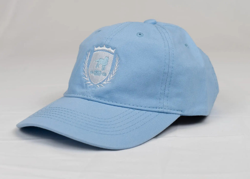 CA-RIO-CA Crest Logo bestickte Designer-Dad-Hat - Herren-Baseballkappe - Mehrere Farben