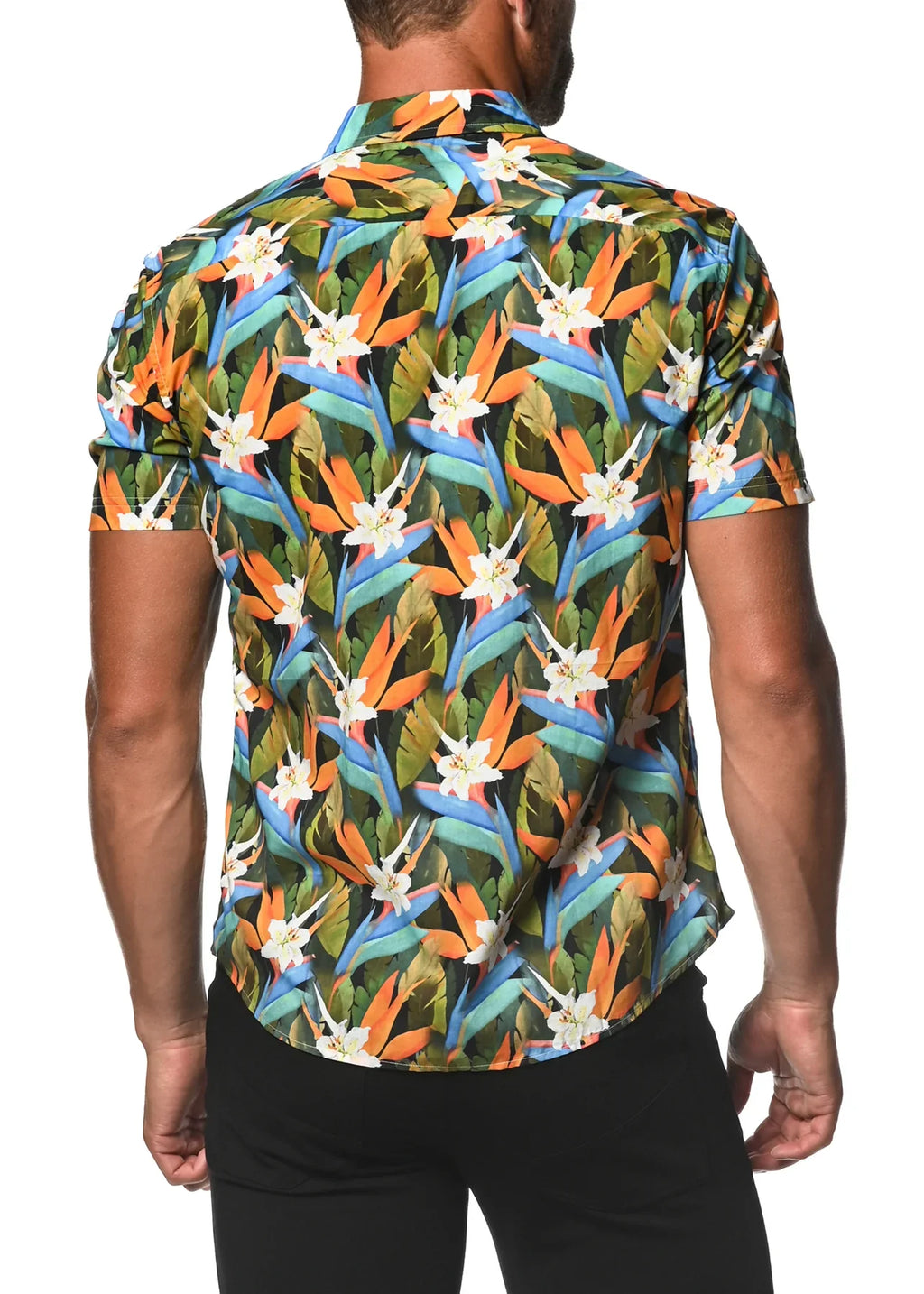 CAMISA TEJIDA MANGA LARGA DE TENCEL/ALGODÓN PARADISE
