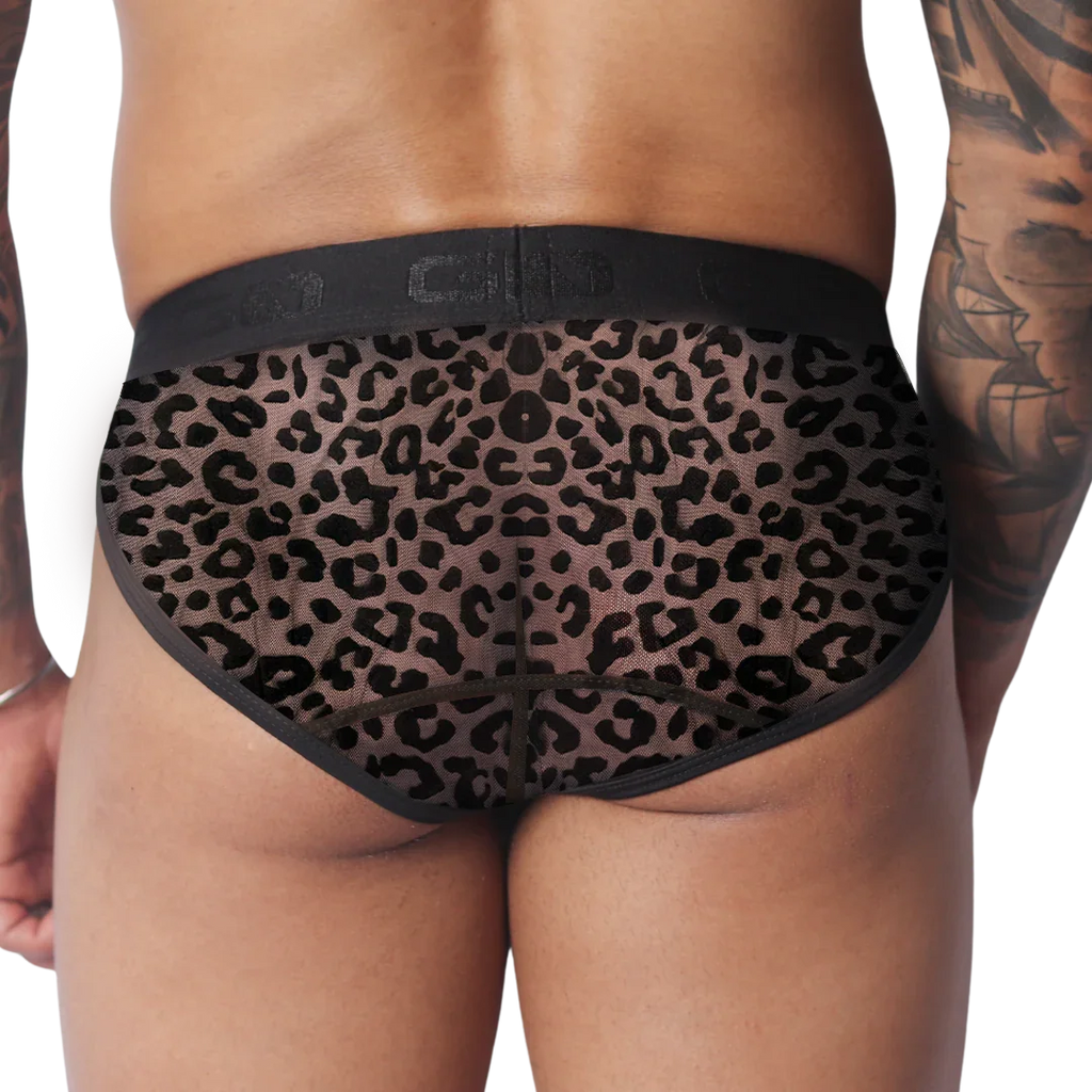 Sheer leopard print briefs with black trim and a wide, logo-branded elastic waistband.
