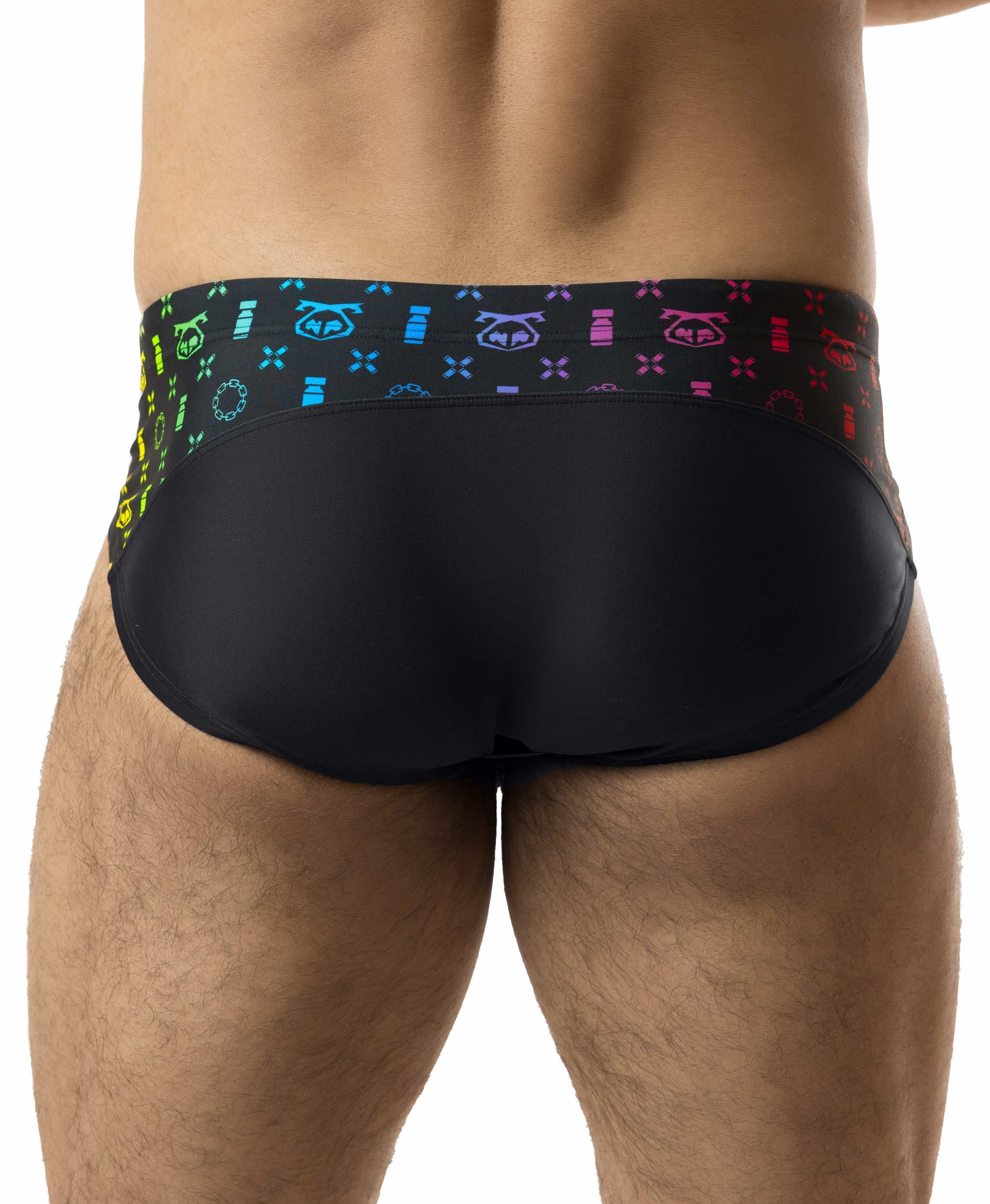 PRIDE ASSPIRATION BIKINI - DealByEthan.gay loves Nasty Pig