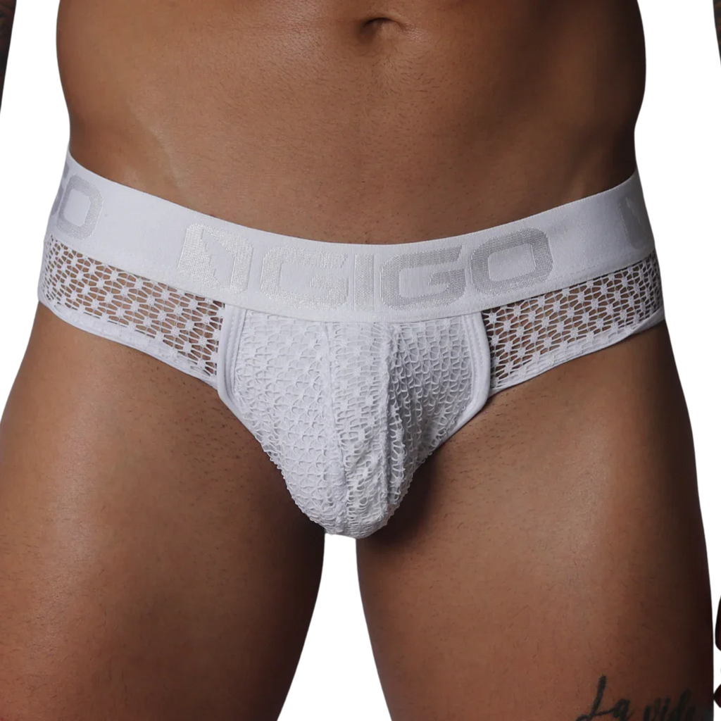 White brief with sheer, open-weave lace fabric and a branded elastic waistband.