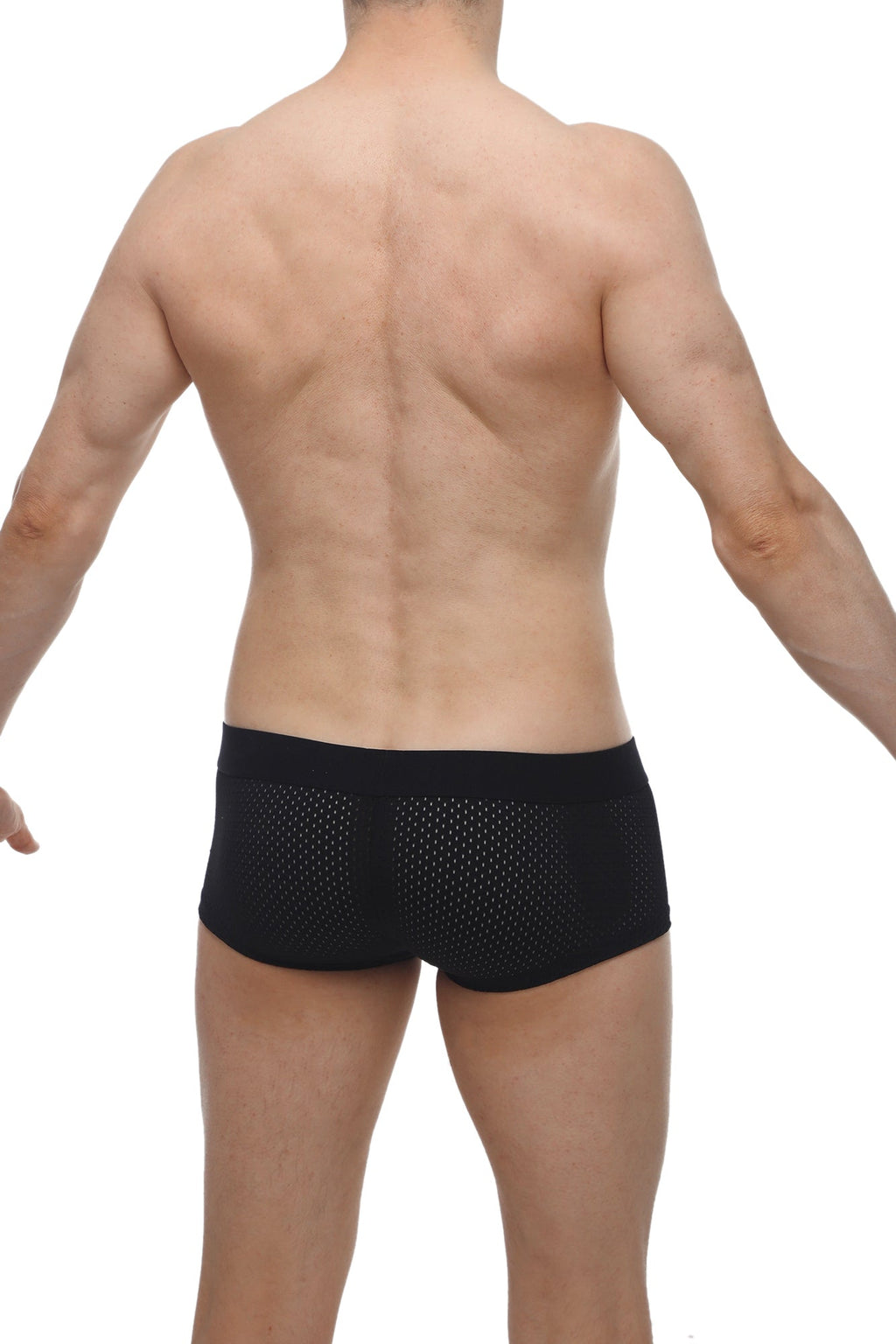 Black mesh petitq boxer oncieux bee briefs featuring a sleek form fitting design and breathable fabric