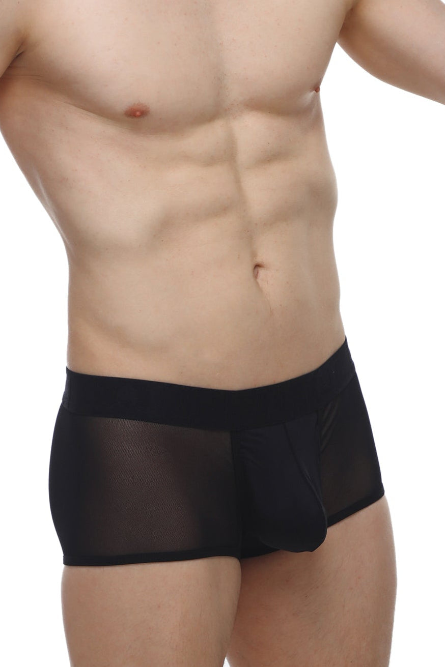 Black sheer mesh briefs with solid black waistband petitq boxer oncieux black front view