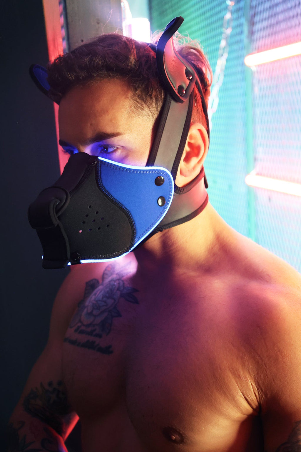 Poundtown Pup Mask 2.0 - Blue - DealByEthan.gay loves Breedwell