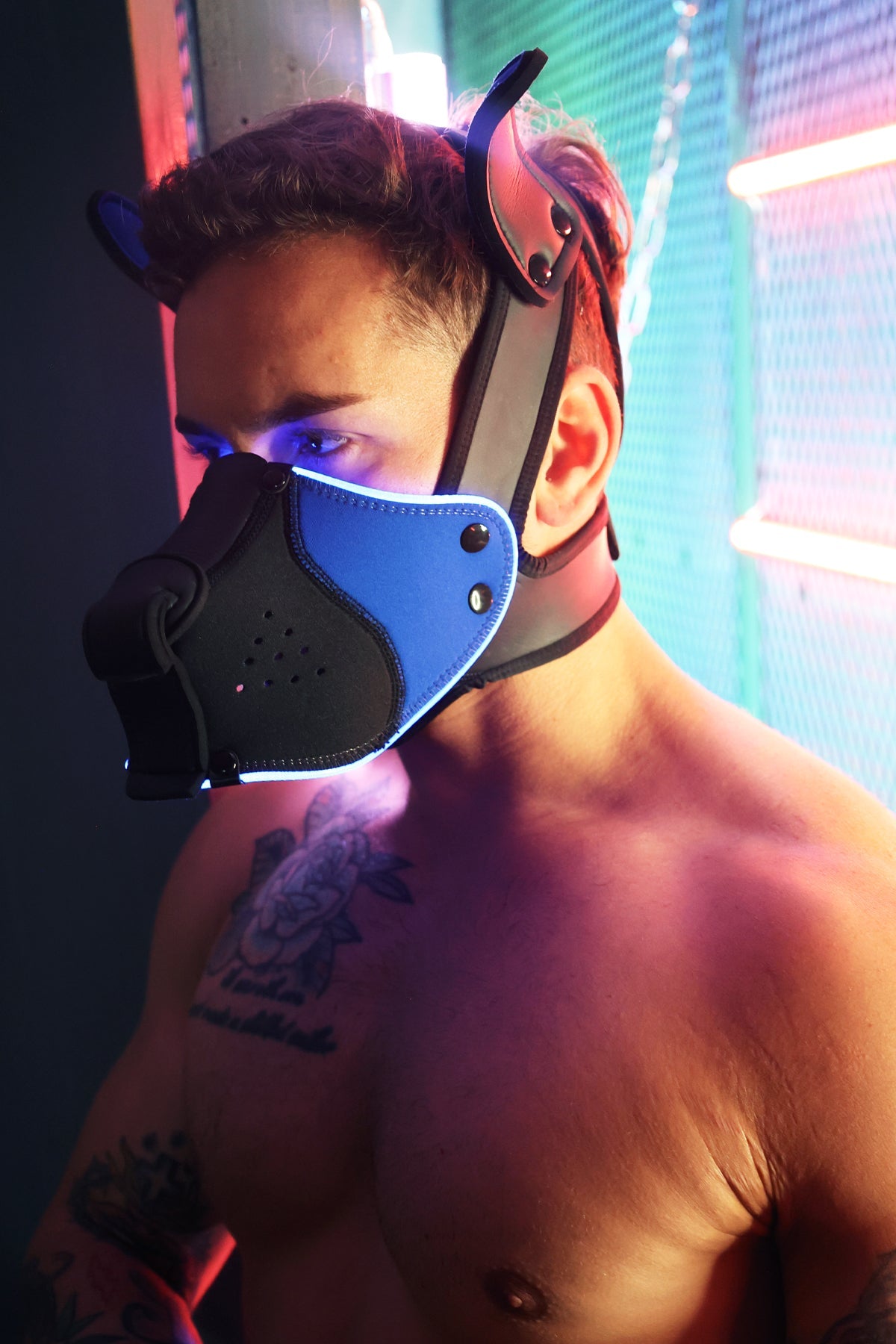Poundtown Pup Mask 2.0 - Blue - DealByEthan.gay loves Breedwell