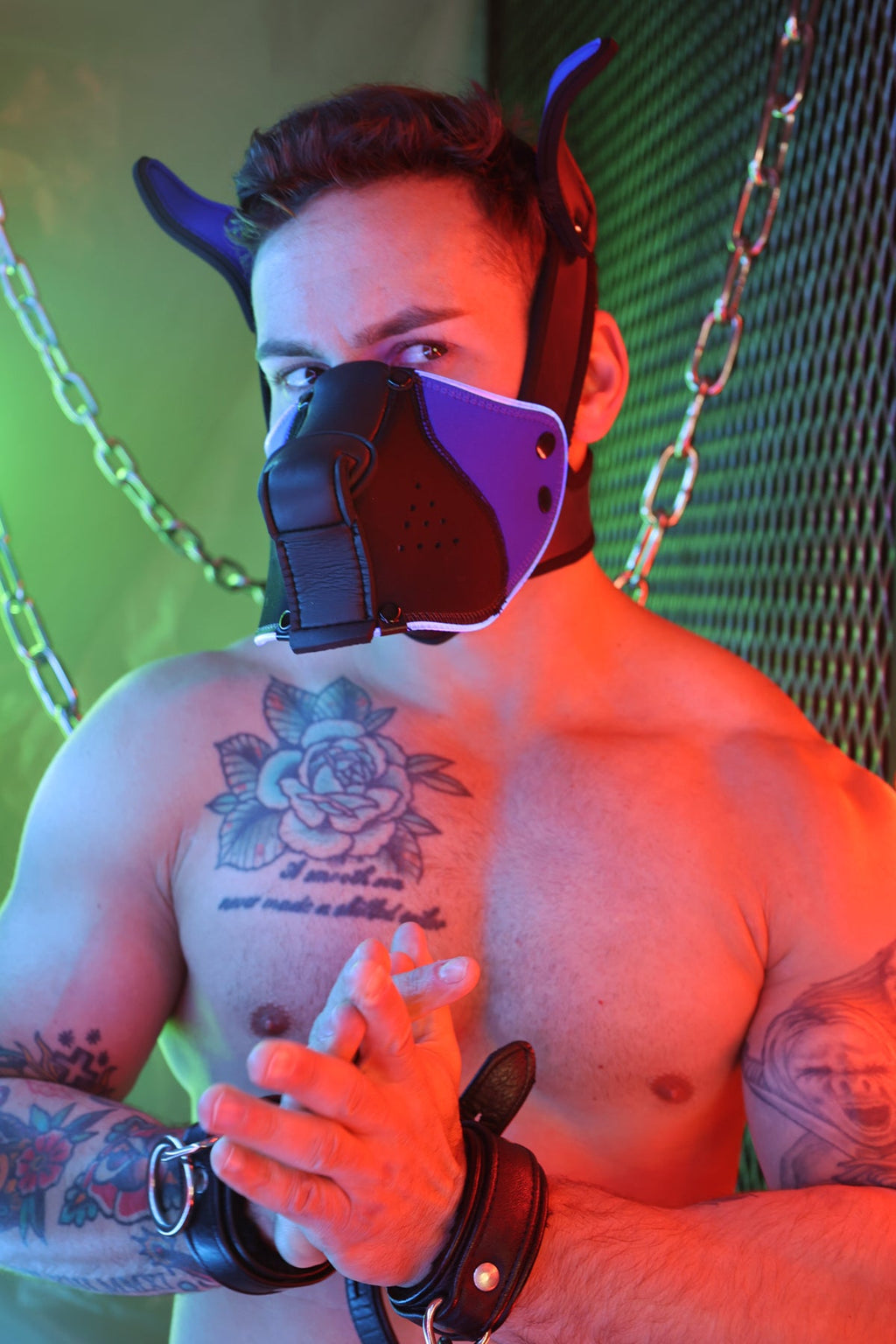 Poundtown Pup Mask 2.0 - Blue - DealByEthan.gay loves Breedwell