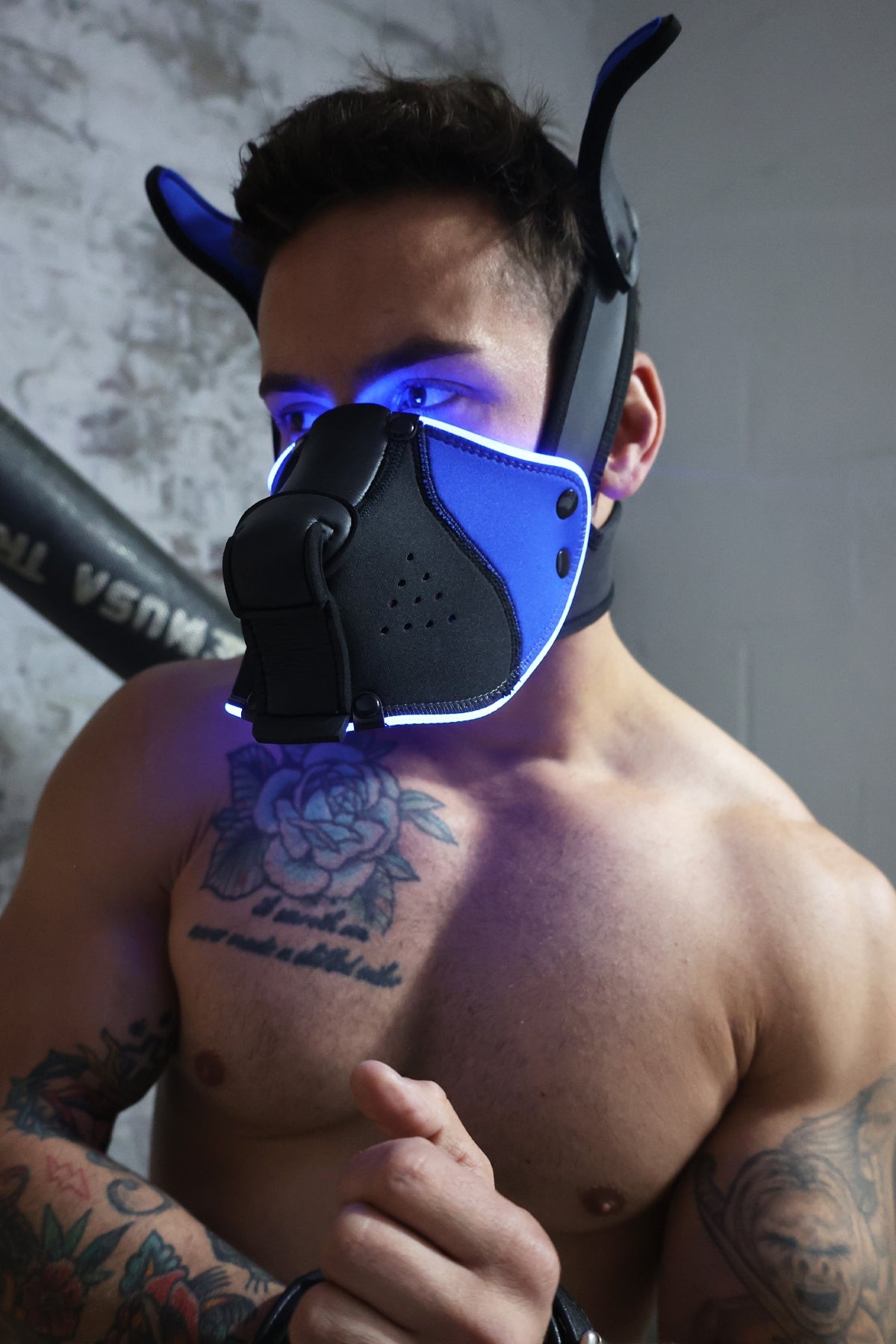 Poundtown Pup Mask 2.0 - Blue - DealByEthan.gay loves Breedwell