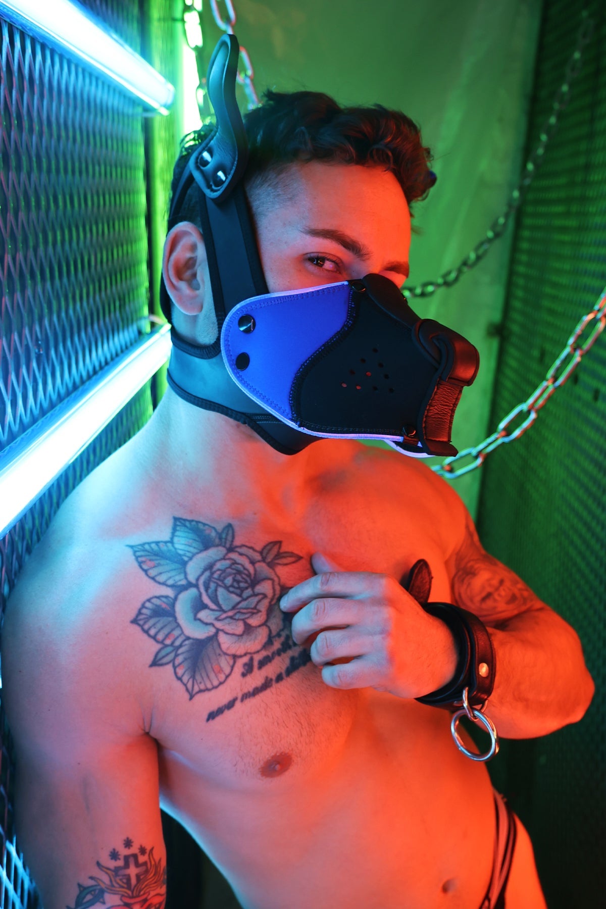 Poundtown Pup Mask 2.0 - Blue - DealByEthan.gay loves Breedwell