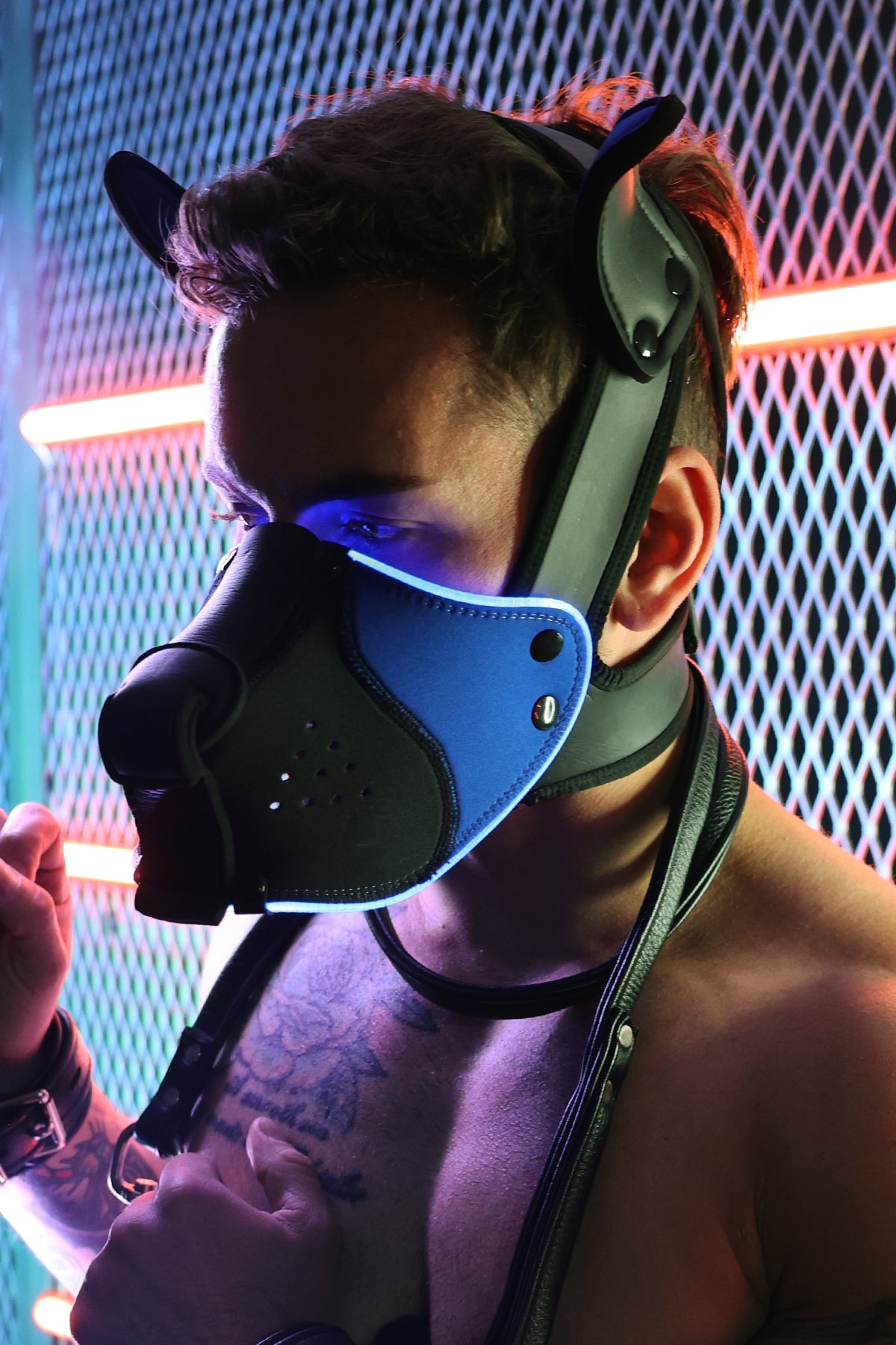 Poundtown Pup Mask 2.0 - Blue - DealByEthan.gay loves Breedwell