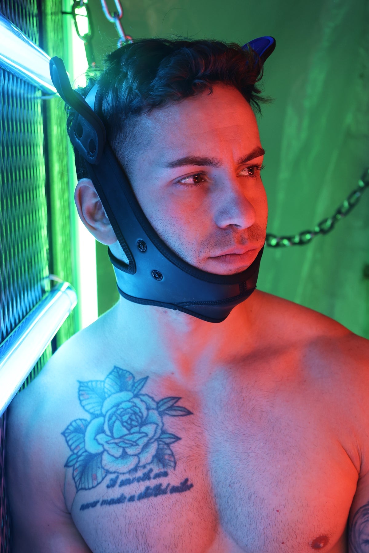 Poundtown Pup Mask 2.0 - Blue - DealByEthan.gay loves Breedwell