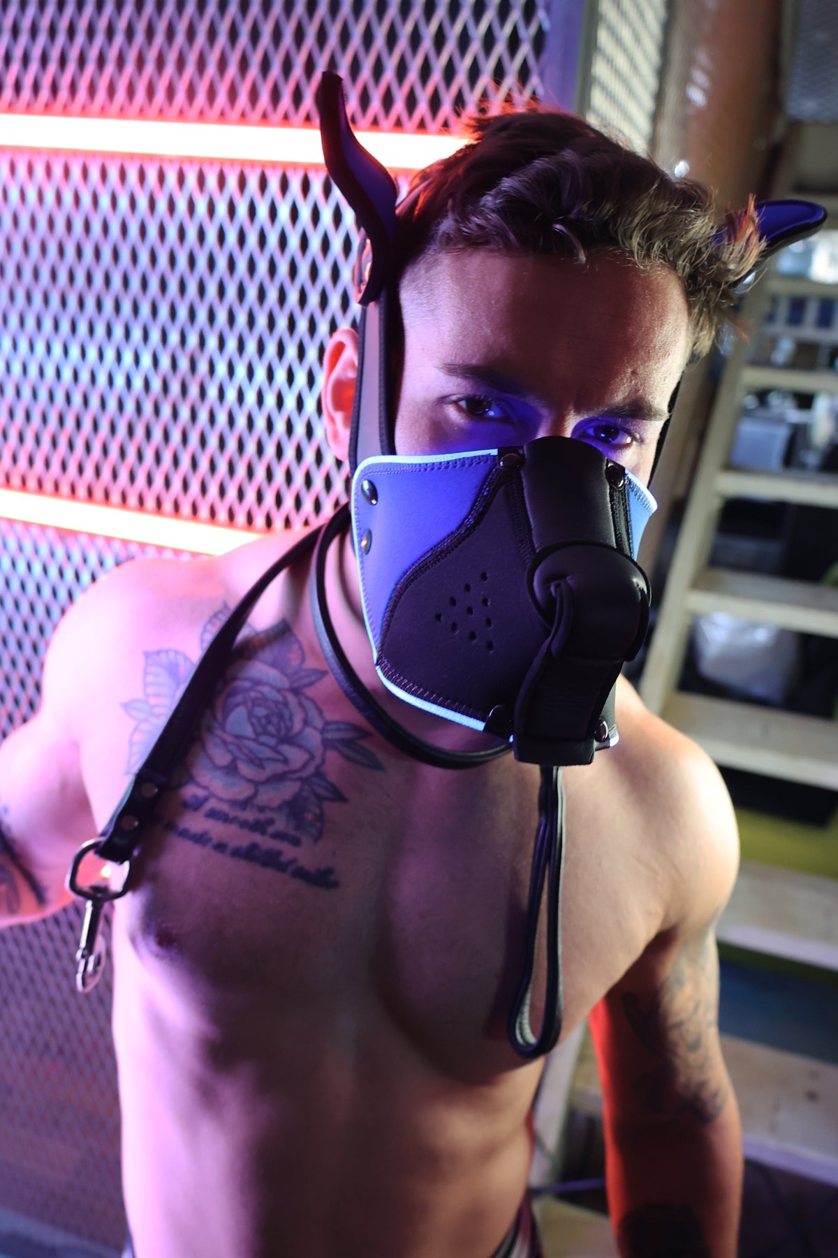 Poundtown Pup Mask 2.0 - Blue - DealByEthan.gay loves Breedwell