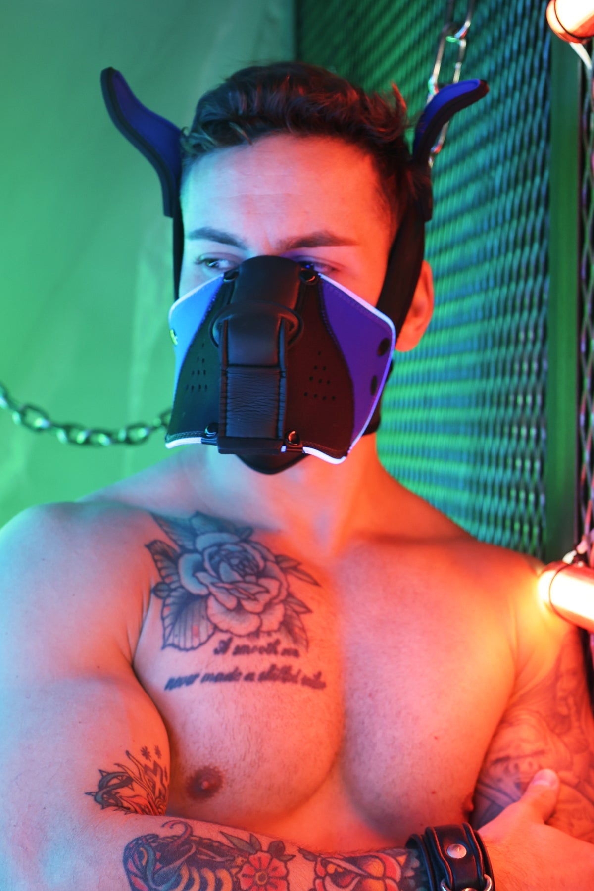 Poundtown Pup Mask 2.0 - Blue - DealByEthan.gay loves Breedwell
