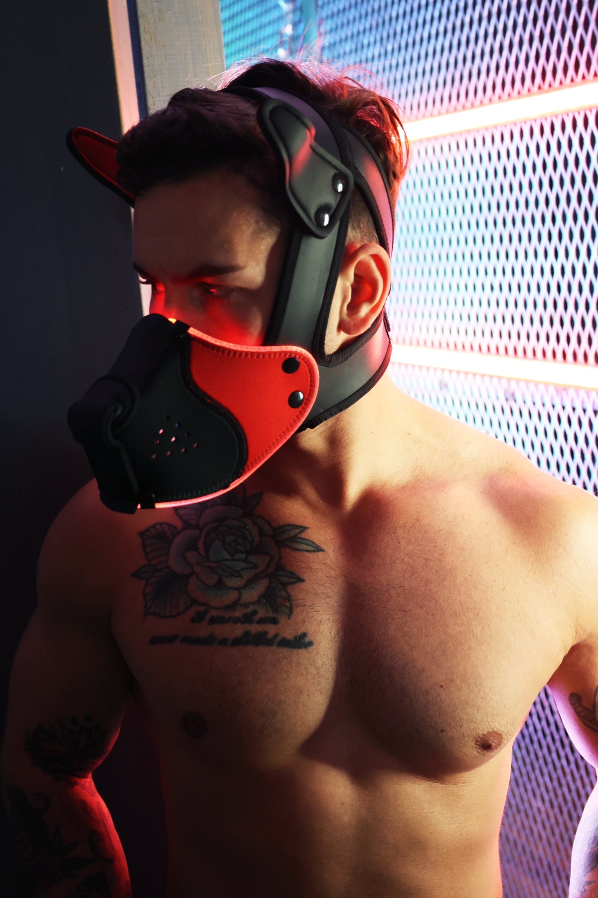Poundtown Pup Mask 2.0 - Red - DealByEthan.gay loves Breedwell