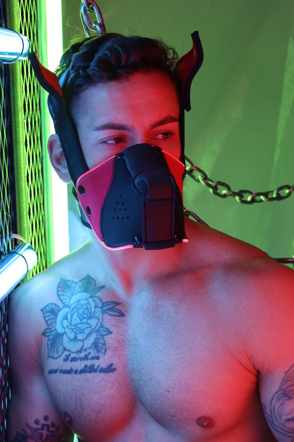Poundtown Pup Mask 2.0 - Red - DealByEthan.gay loves Breedwell