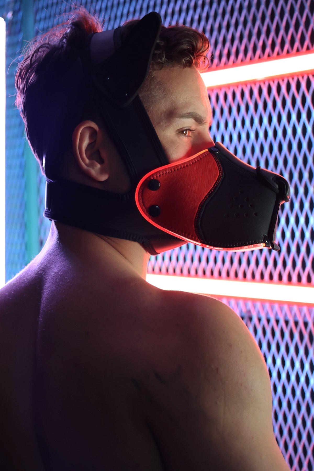 Poundtown Pup Mask 2.0 - Red - DealByEthan.gay loves Breedwell