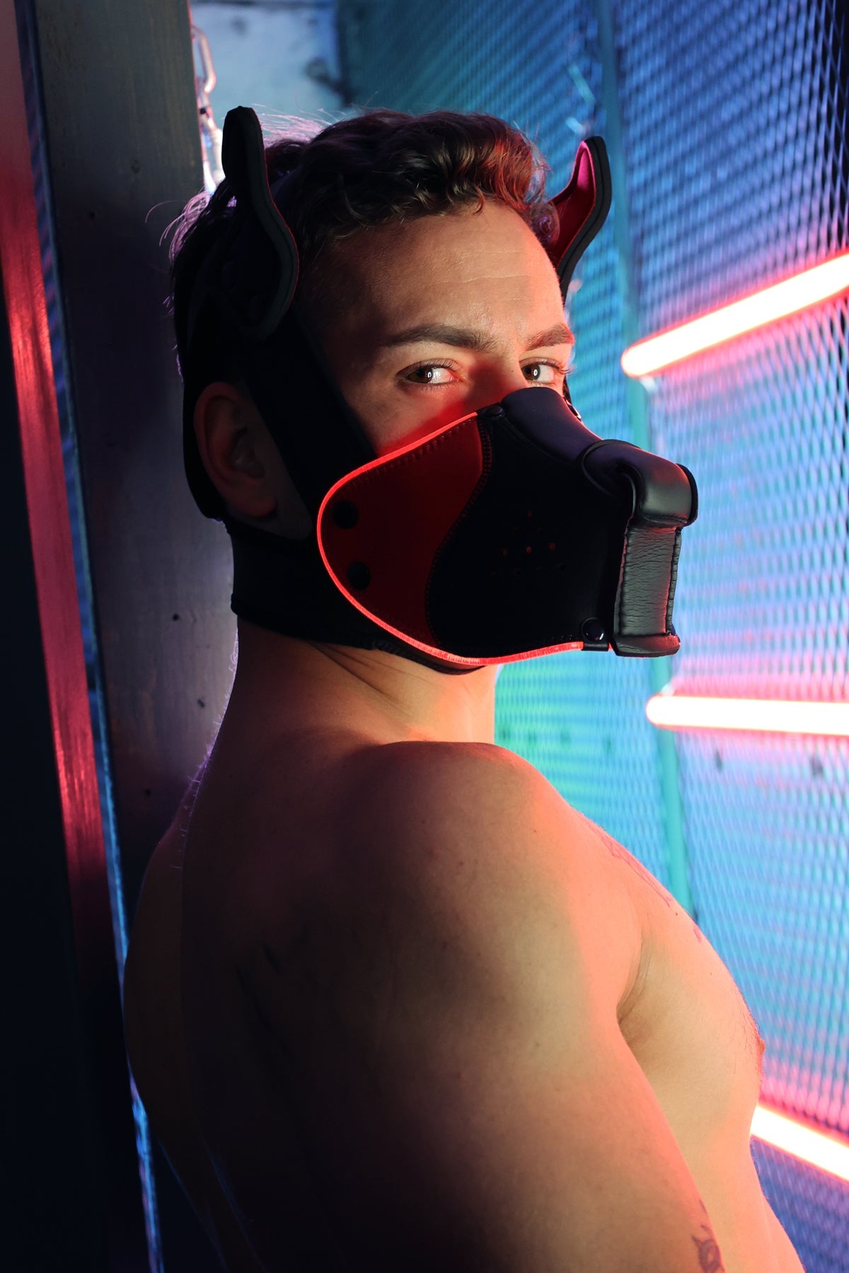 Poundtown Pup Mask 2.0 - Red - DealByEthan.gay loves Breedwell