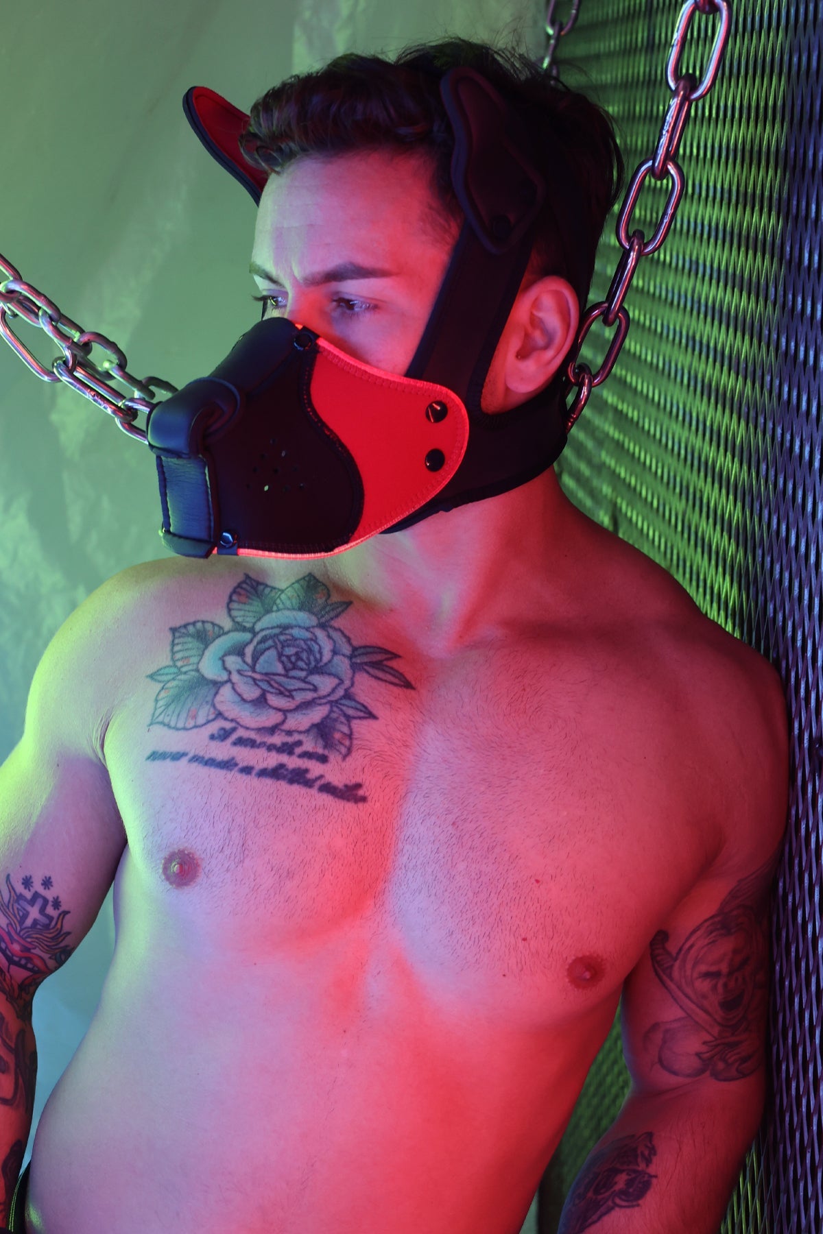 Poundtown Pup Mask 2.0 - Red - DealByEthan.gay loves Breedwell