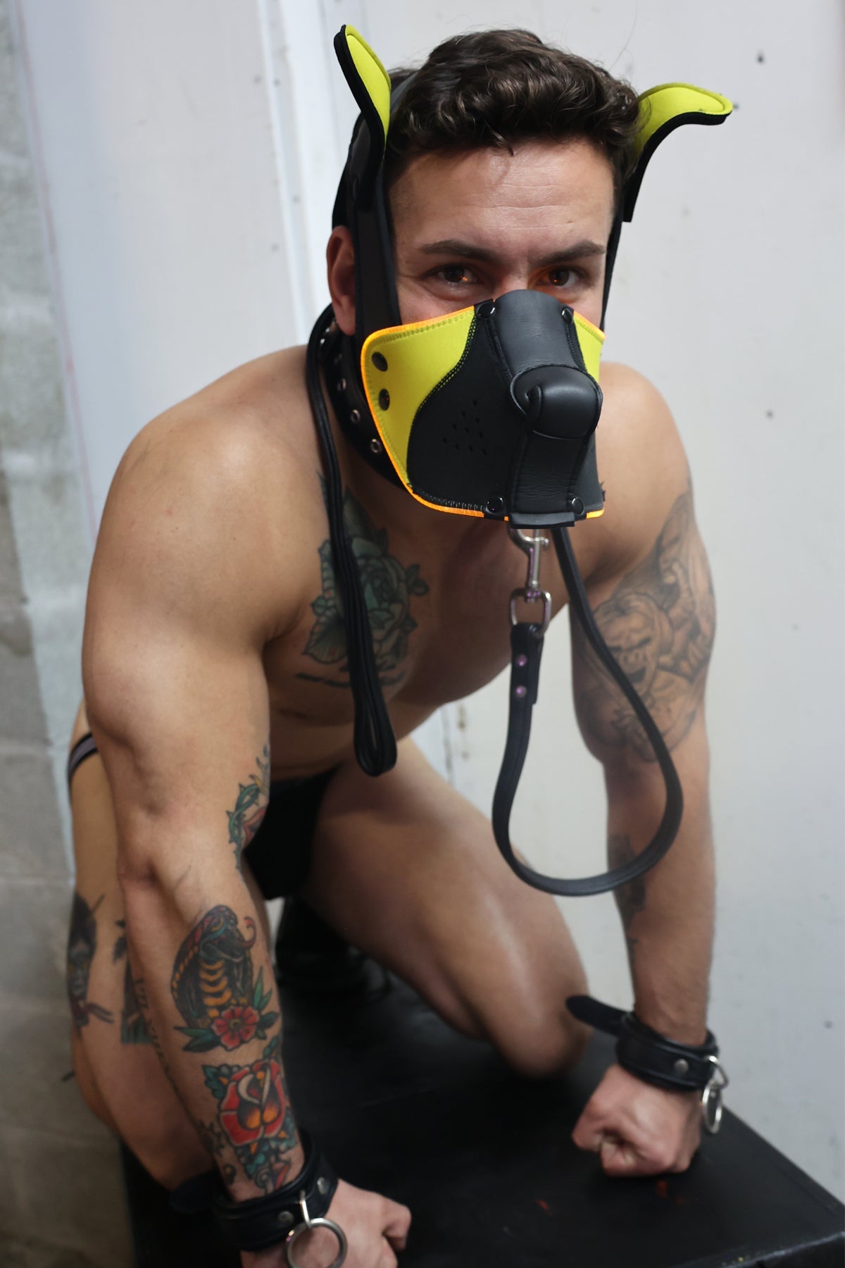 Poundtown Pup Mask 2.0 - Yellow - DealByEthan.gay loves Breedwell