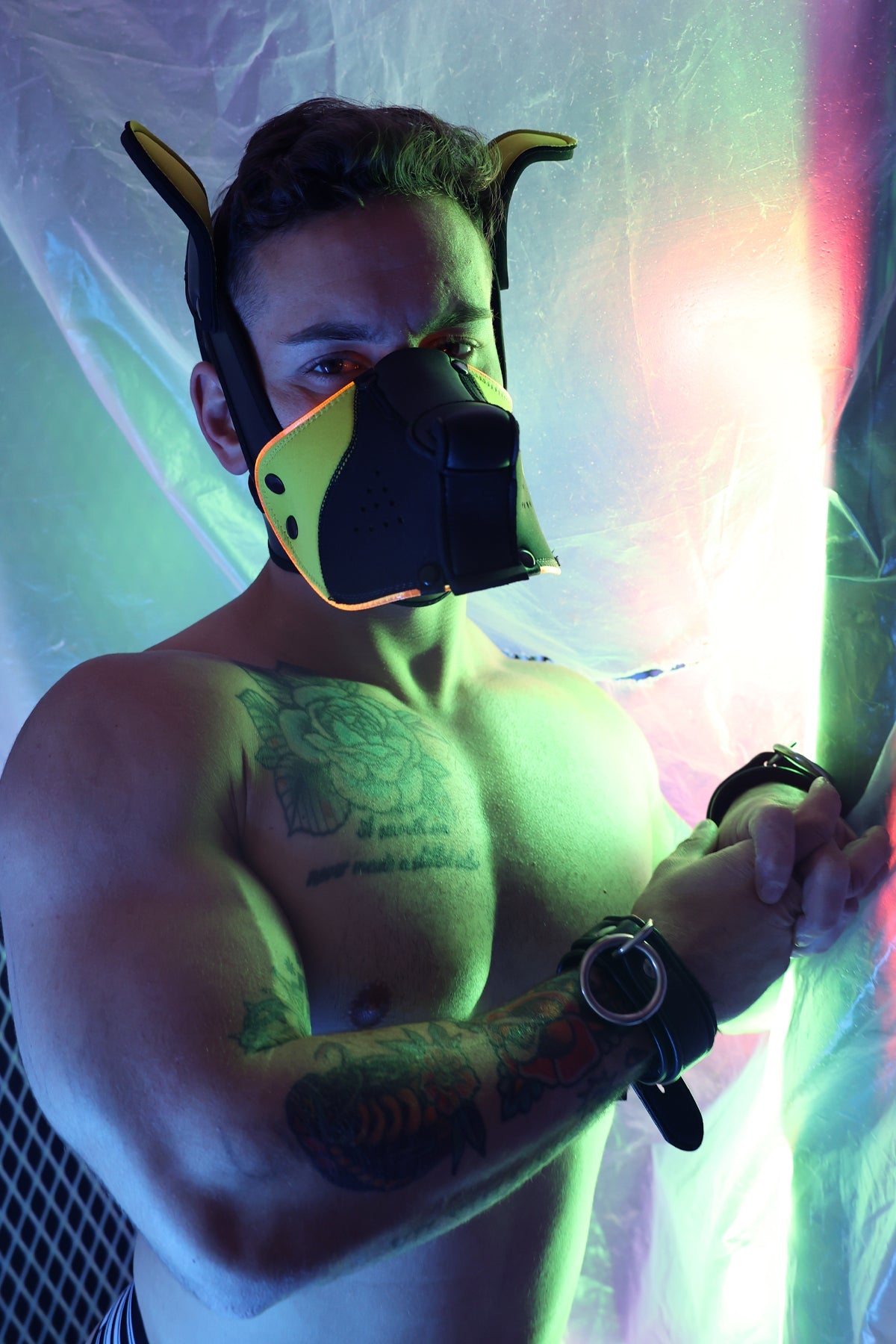Poundtown Pup Mask 2.0 - Yellow - DealByEthan.gay loves Breedwell