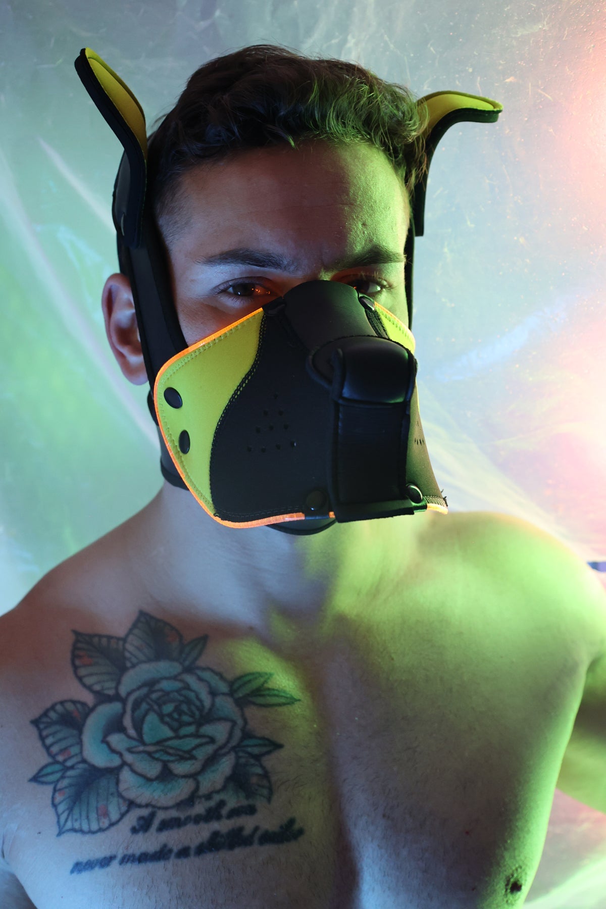 Poundtown Pup Mask 2.0 - Yellow - DealByEthan.gay loves Breedwell