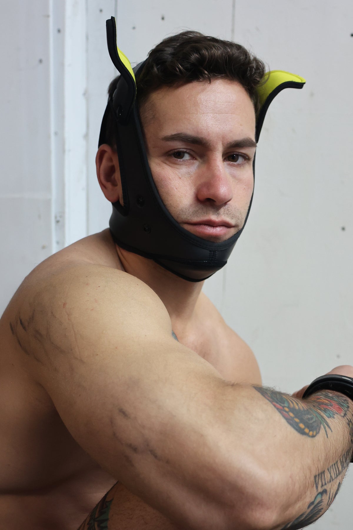 Poundtown Pup Mask 2.0 - Yellow - DealByEthan.gay loves Breedwell