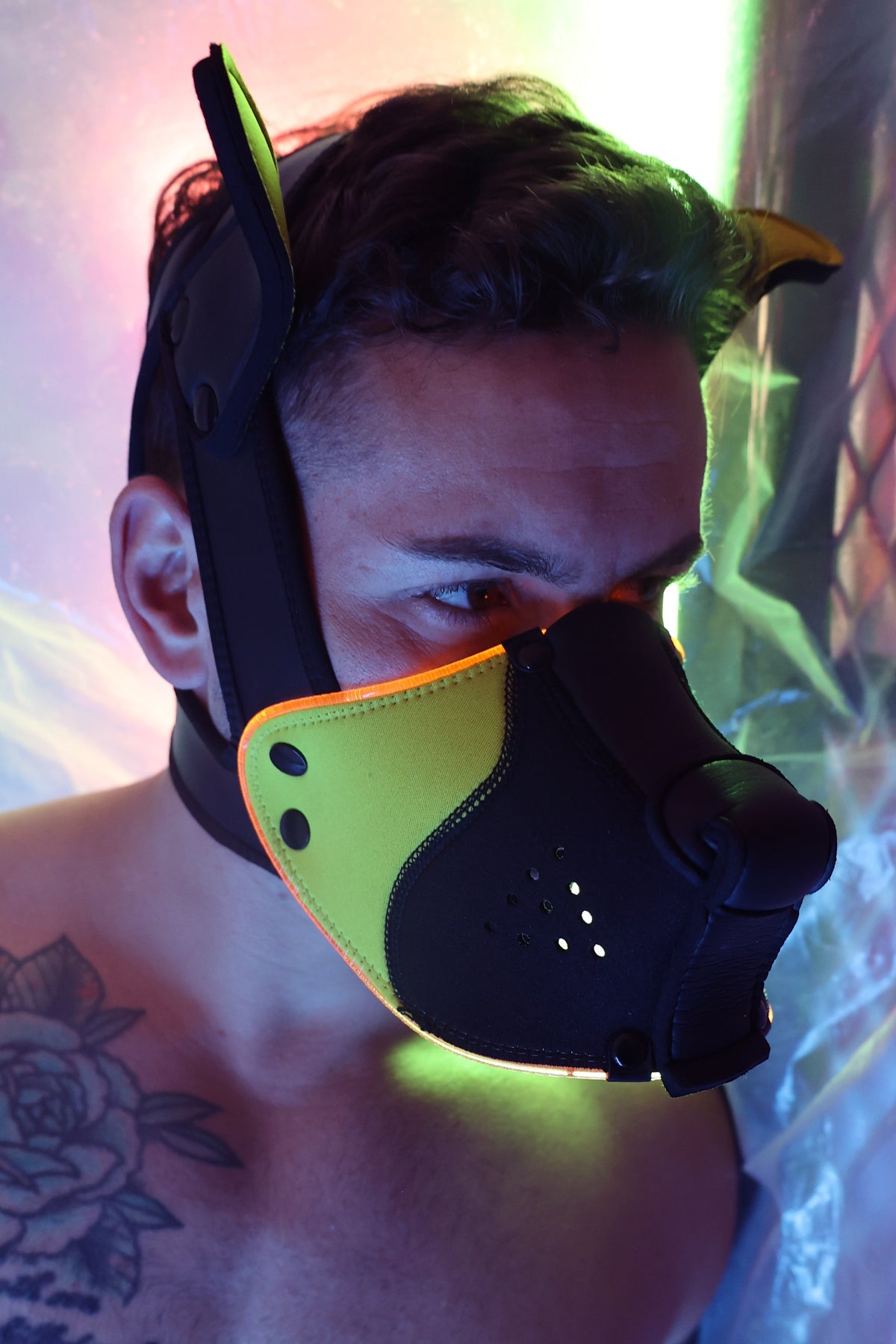 Poundtown Pup Mask 2.0 - Yellow - DealByEthan.gay loves Breedwell