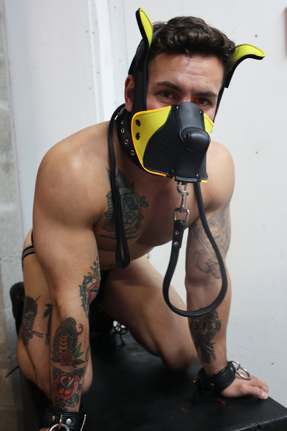 Poundtown Pup Mask 2.0 - Yellow - DealByEthan.gay loves Breedwell