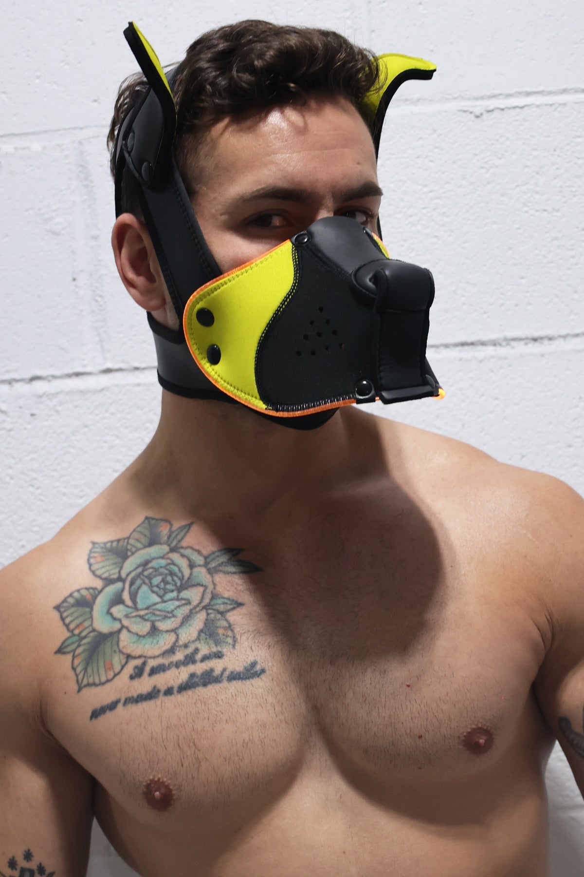 Poundtown Pup Mask 2.0 - Yellow - DealByEthan.gay loves Breedwell