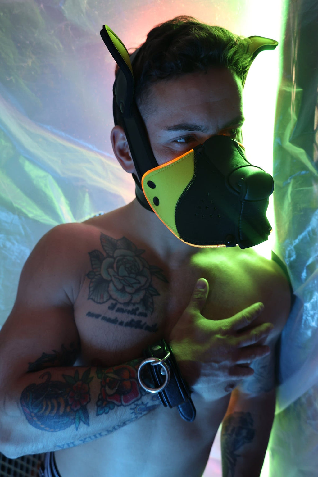 Poundtown Pup Mask 2.0 - Yellow - DealByEthan.gay loves Breedwell