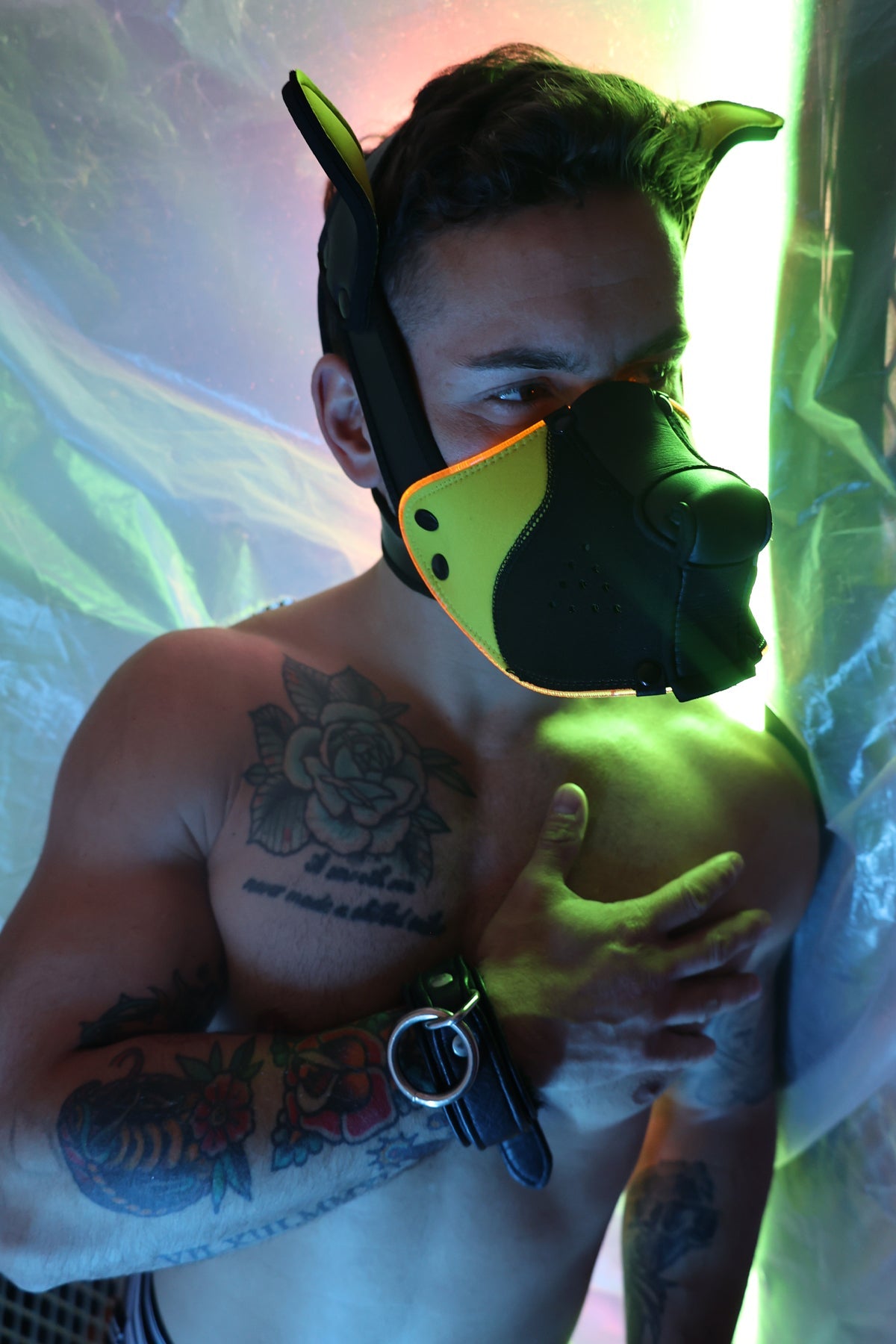 Poundtown Pup Mask 2.0 - Yellow - DealByEthan.gay loves Breedwell