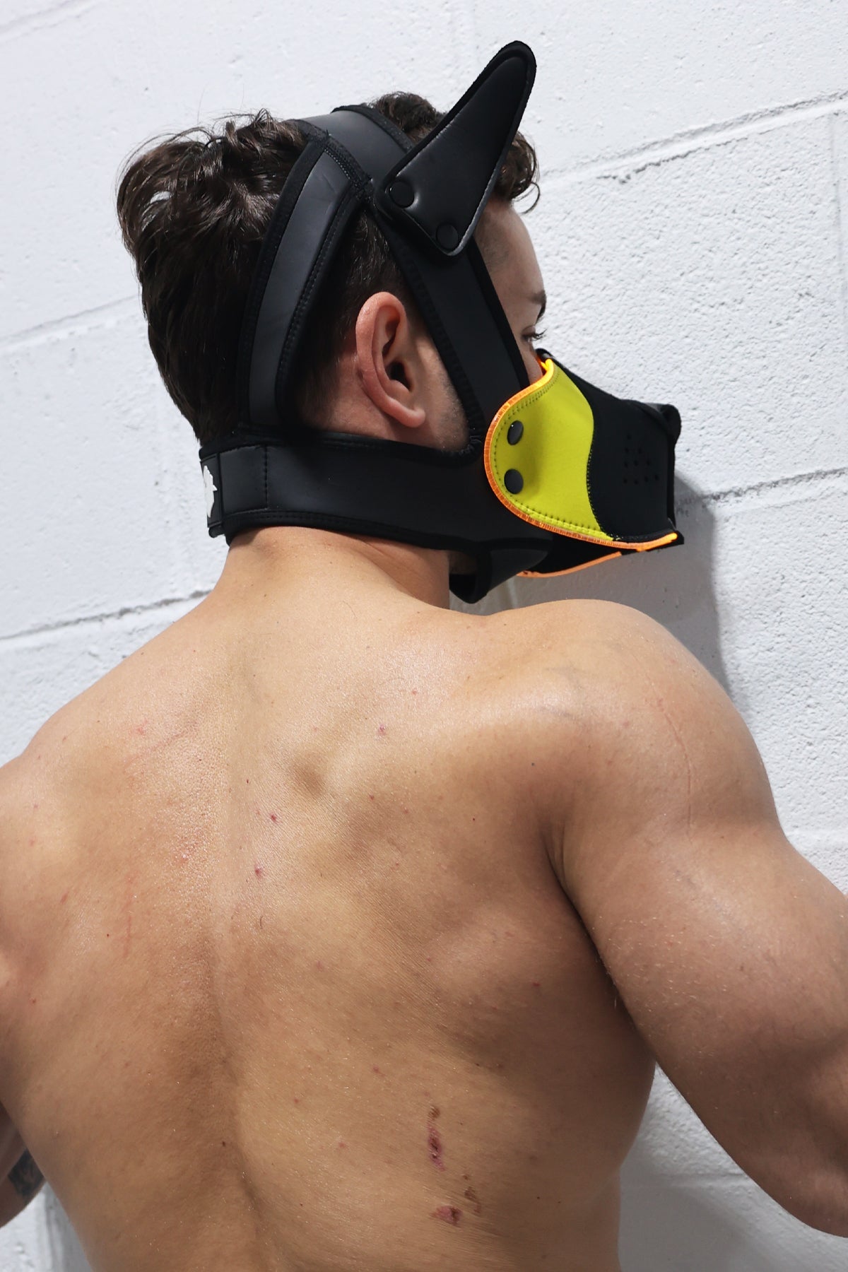 Poundtown Pup Mask 2.0 - Yellow - DealByEthan.gay loves Breedwell