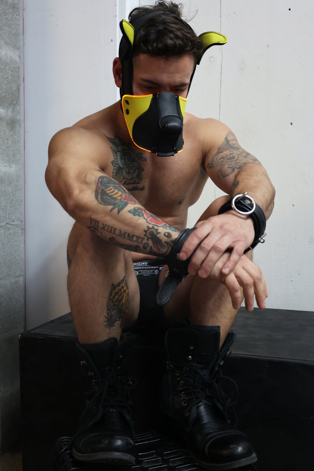 Poundtown Pup Mask 2.0 - Yellow - DealByEthan.gay loves Breedwell