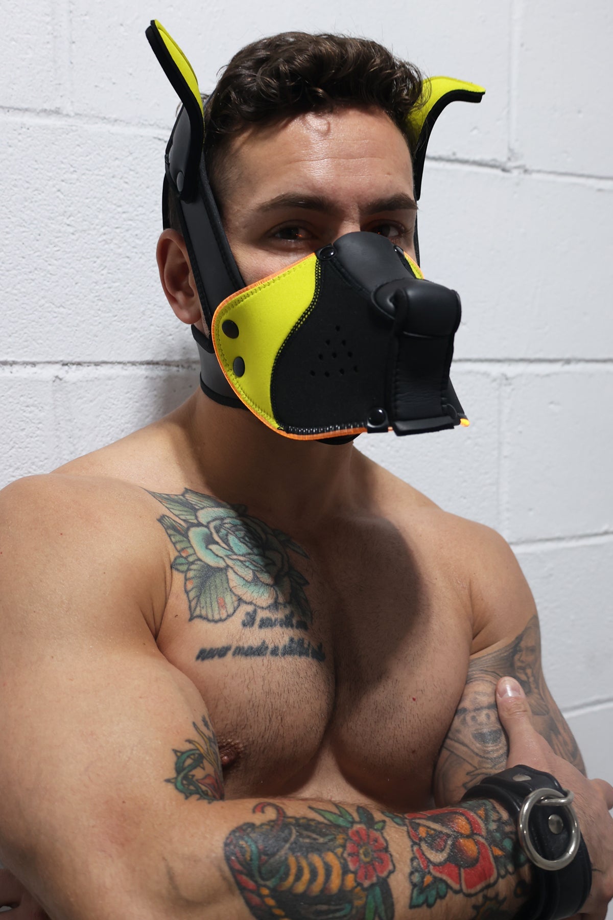 Poundtown Pup Mask 2.0 - Yellow - DealByEthan.gay loves Breedwell