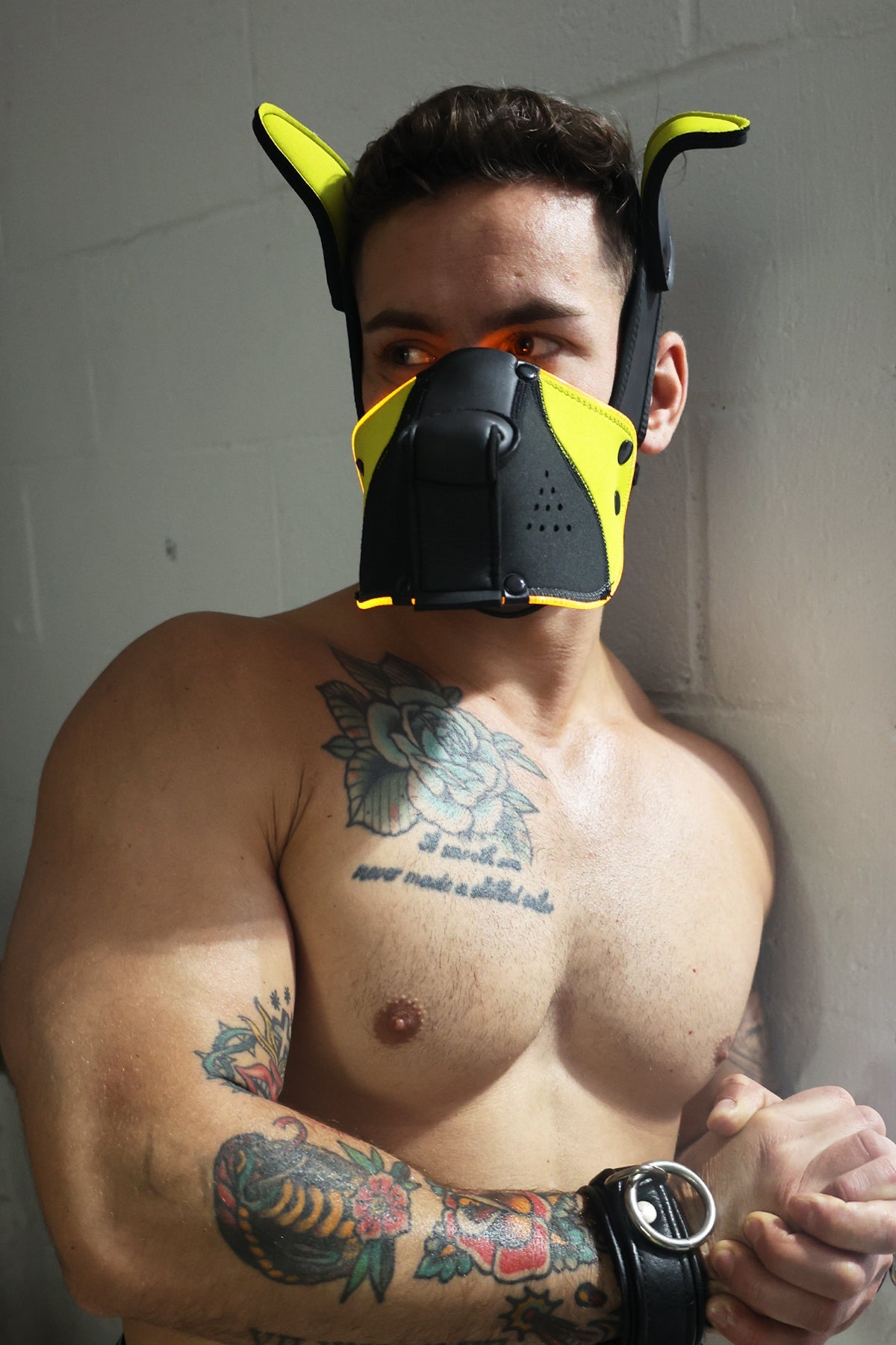 Poundtown Pup Mask 2.0 - Yellow - DealByEthan.gay loves Breedwell