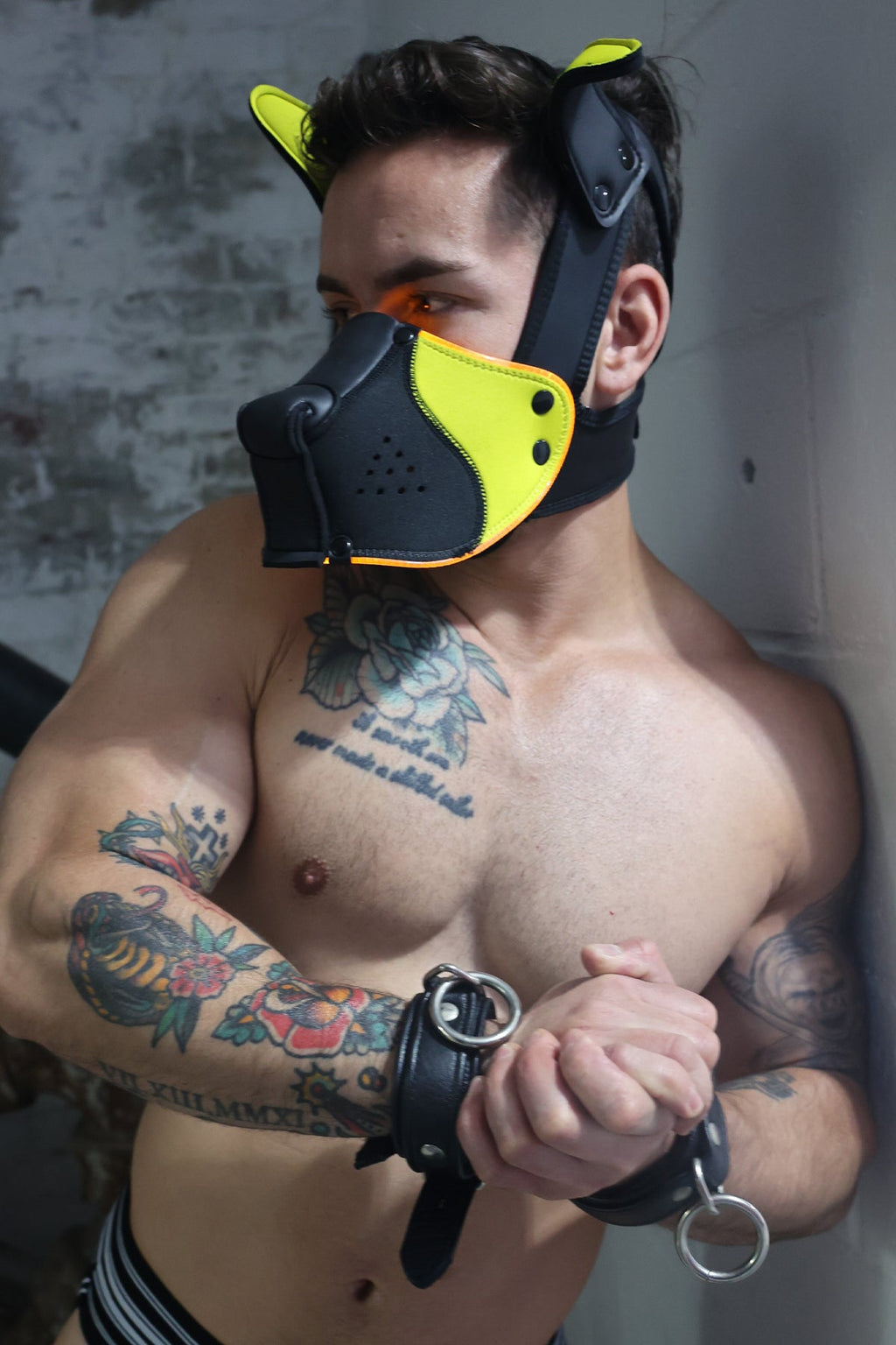 Poundtown Pup Mask 2.0 - Yellow - DealByEthan.gay loves Breedwell