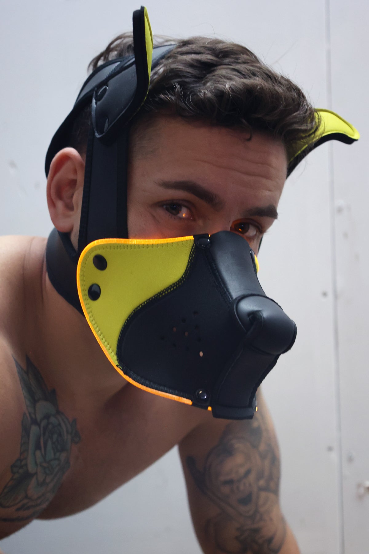 Poundtown Pup Mask 2.0 - Yellow - DealByEthan.gay loves Breedwell