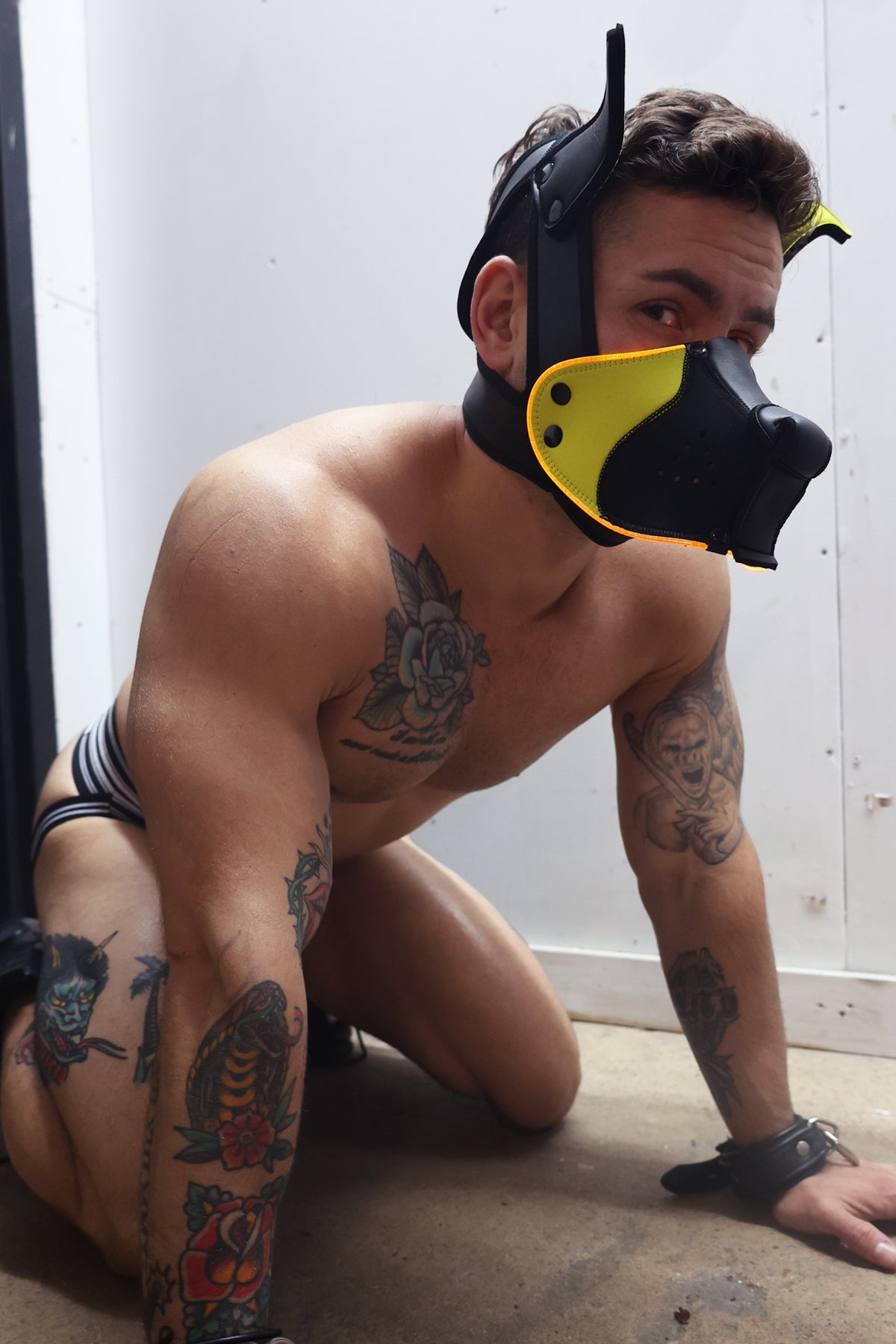 Poundtown Pup Mask 2.0 - Yellow - DealByEthan.gay loves Breedwell
