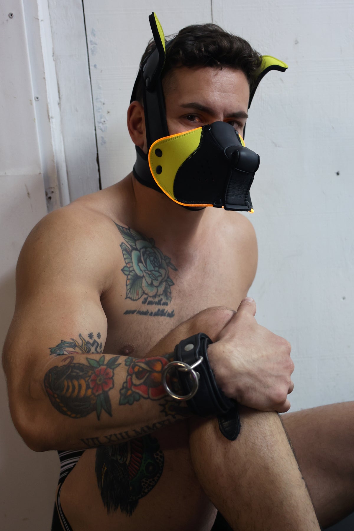 Poundtown Pup Mask 2.0 - Yellow - DealByEthan.gay loves Breedwell