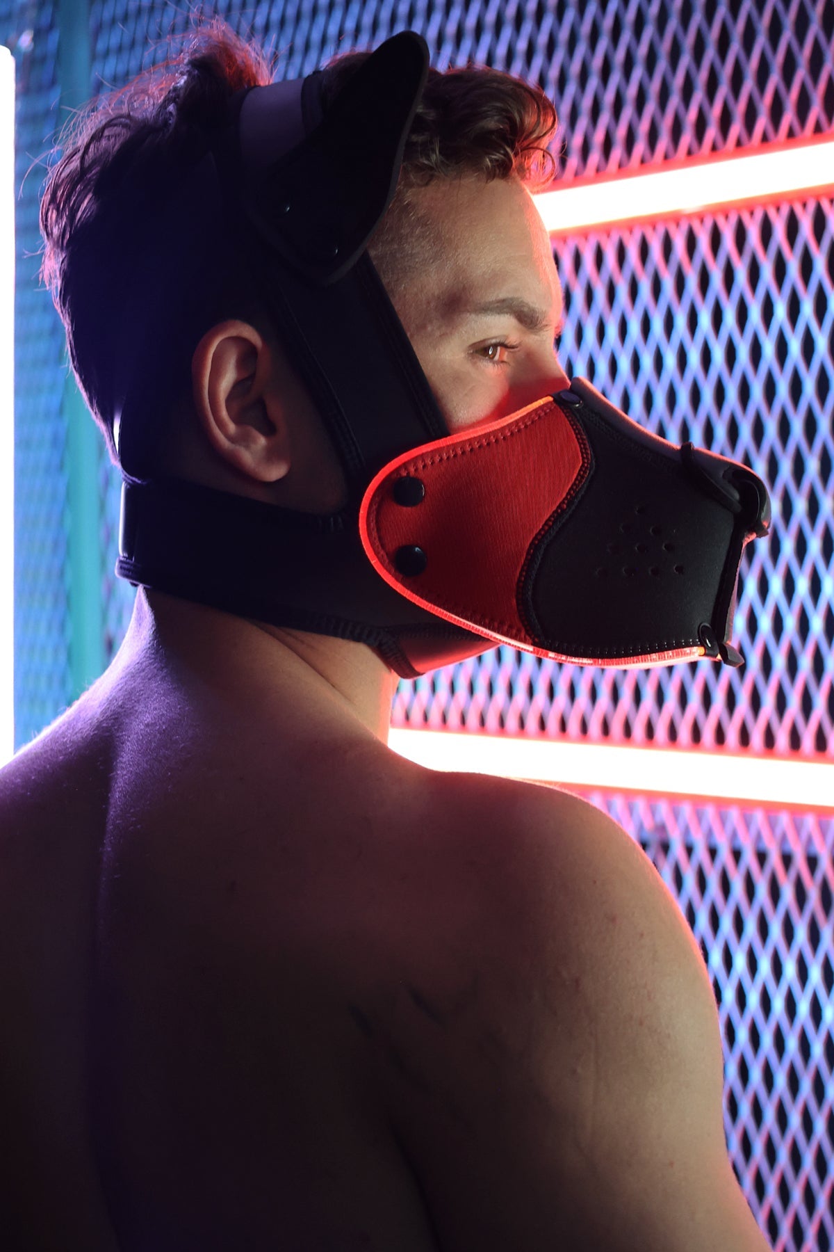 Poundtown Pup Mask 2.0 - Red