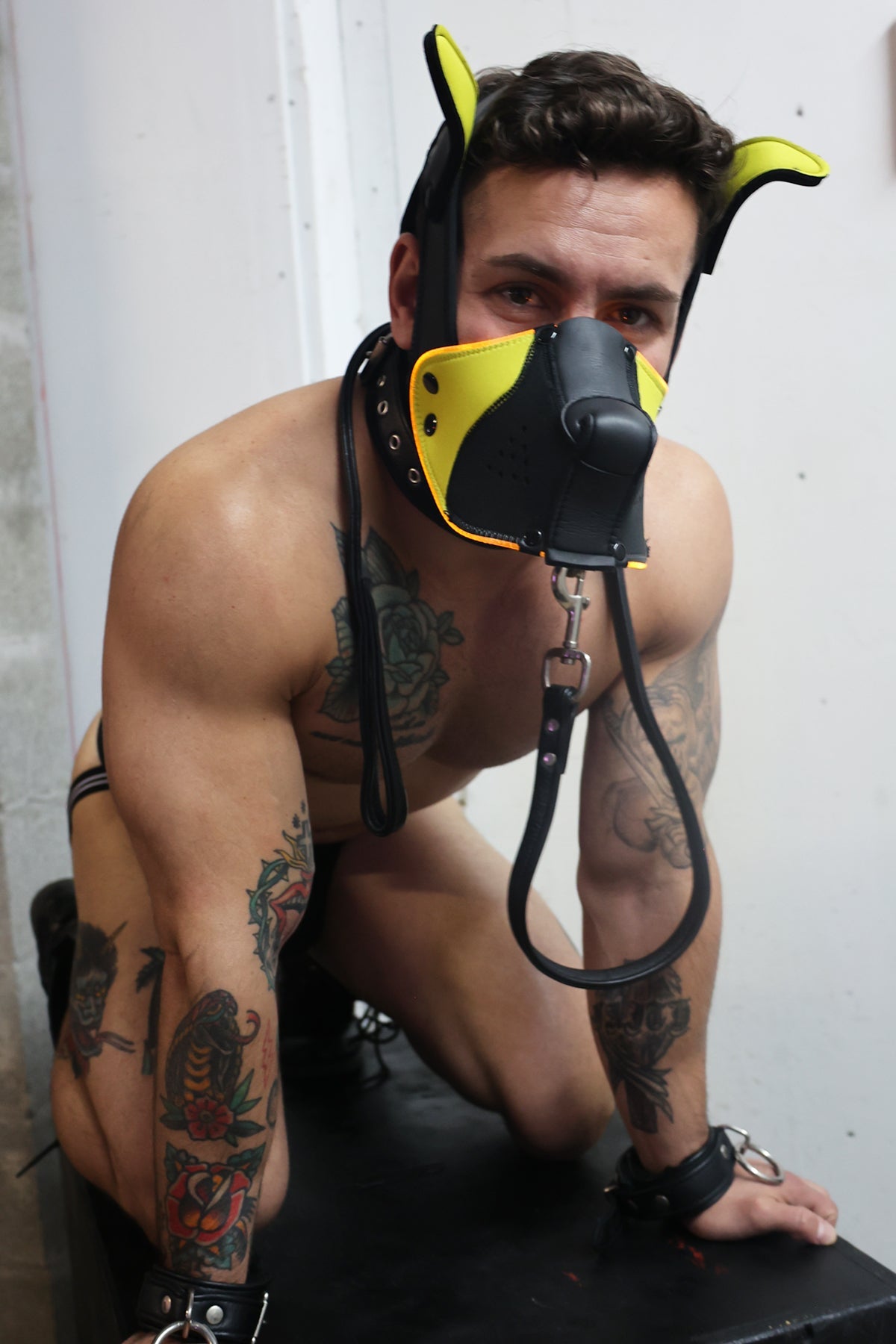 Poundtown Pup Mask 2.0 - Yellow