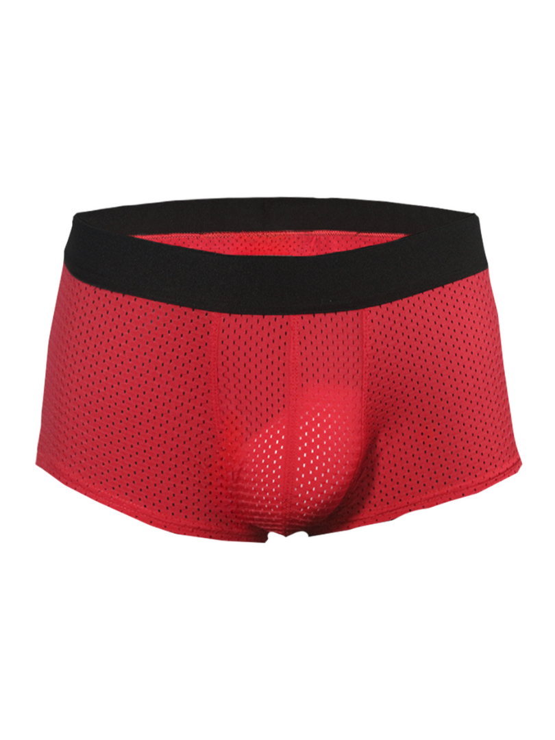 Pride Trunk - DealByEthan.gay loves Pride