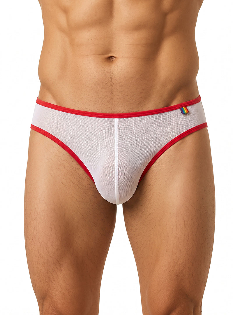 Pride USA Men's Mesh Gossamer Bikini Low-Rise Sheer Underwear