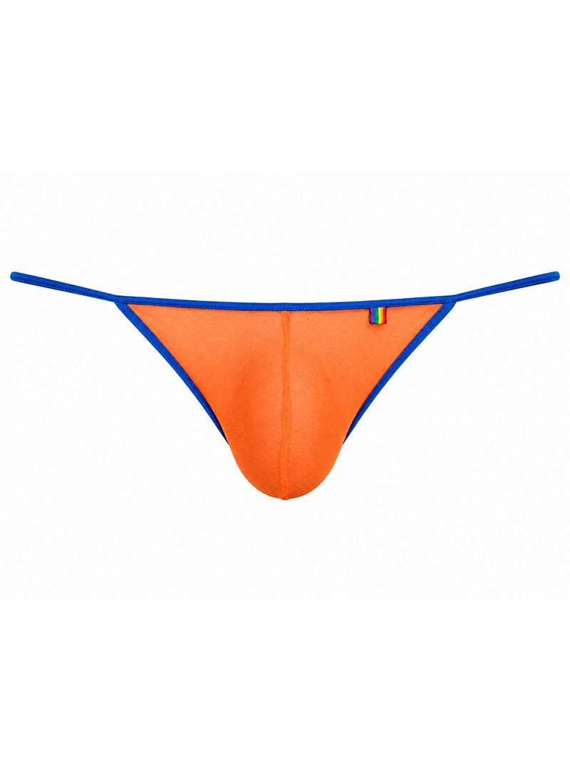 Pride USA Men's Mesh Gossamer G-String