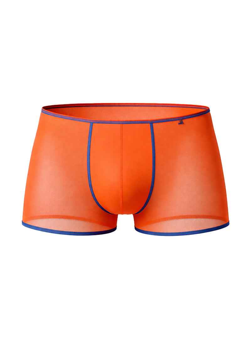 Pride USA Men's Mesh Gossammer Trunk