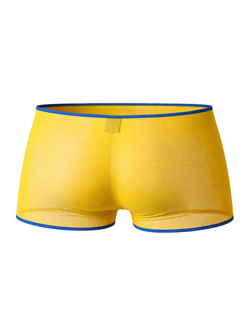 Pride USA Men's Mesh Gossammer Trunk