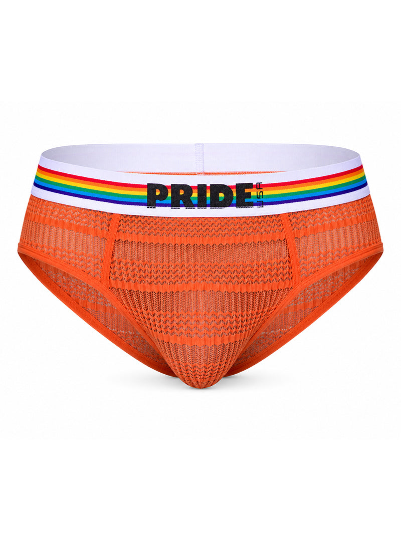 Pride USA Men's Sheer Mesh Archery Brief See-Through Underwear