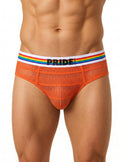Pride USA Men's Sheer Mesh Archery Brief See-Through Underwear