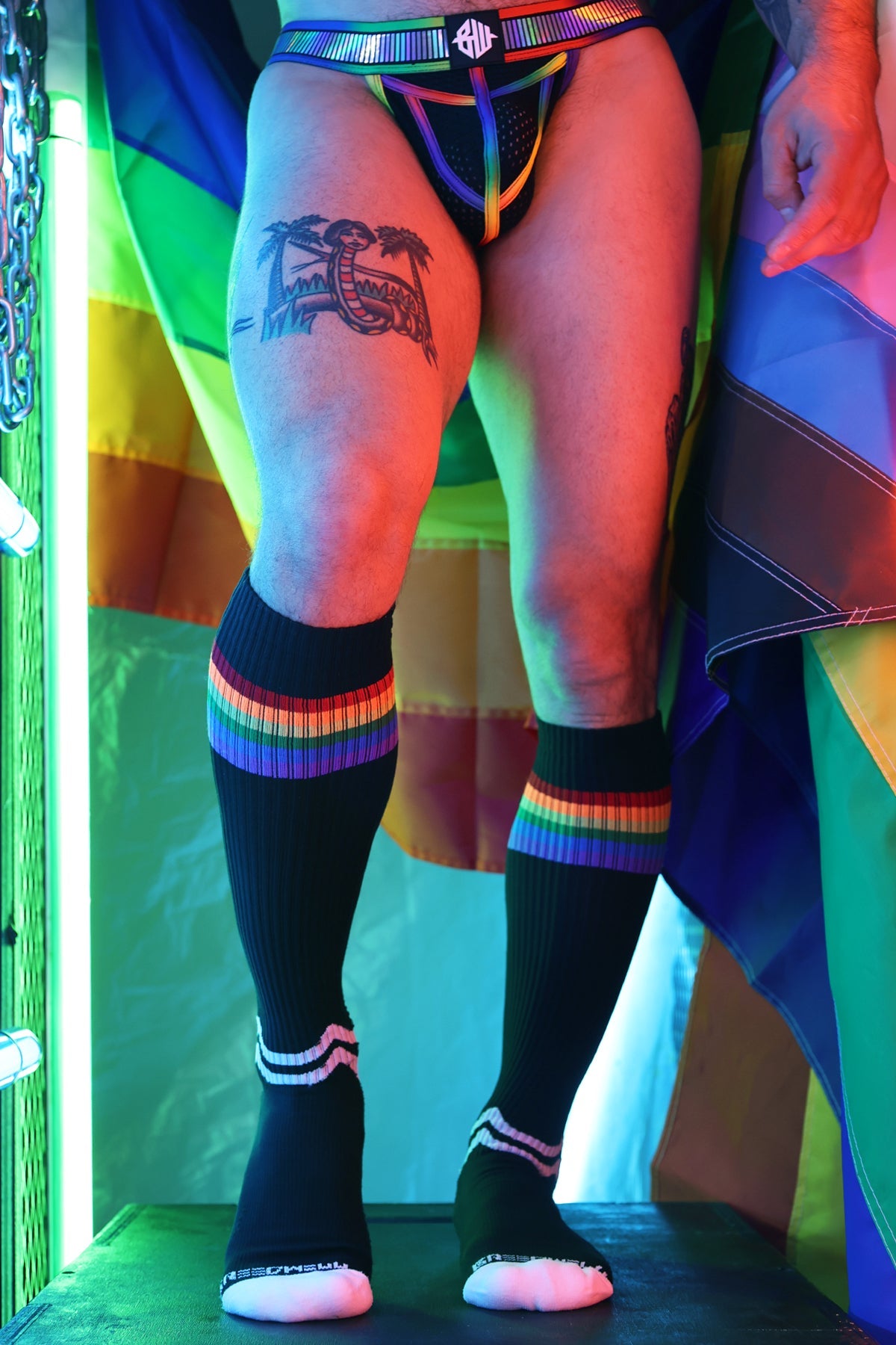 Pride Socks