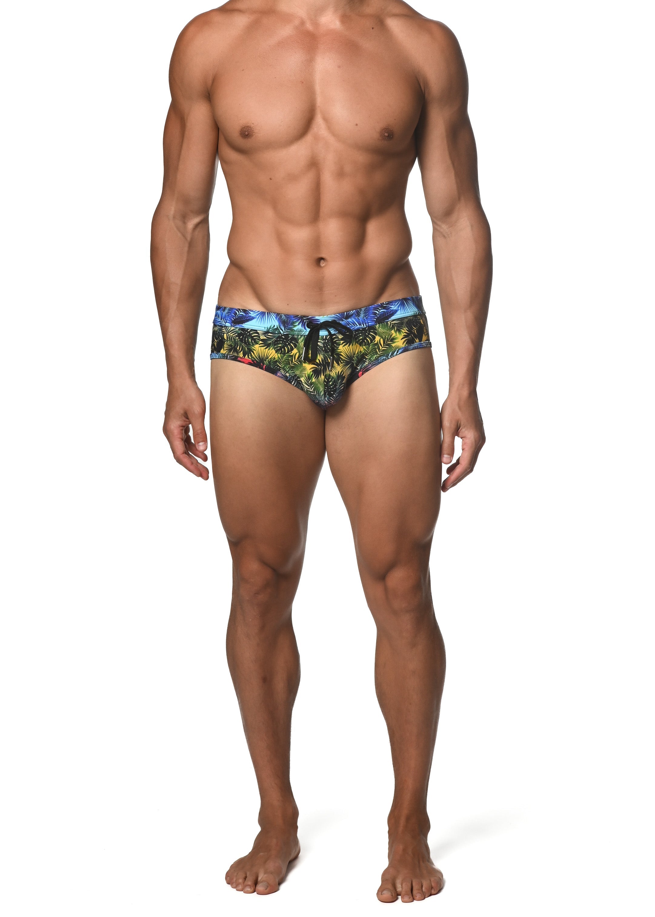 RAINBOW GRADIENT PALMS FREESTYLE SWIM BRIEF - DealByEthan.gay loves ST33LE