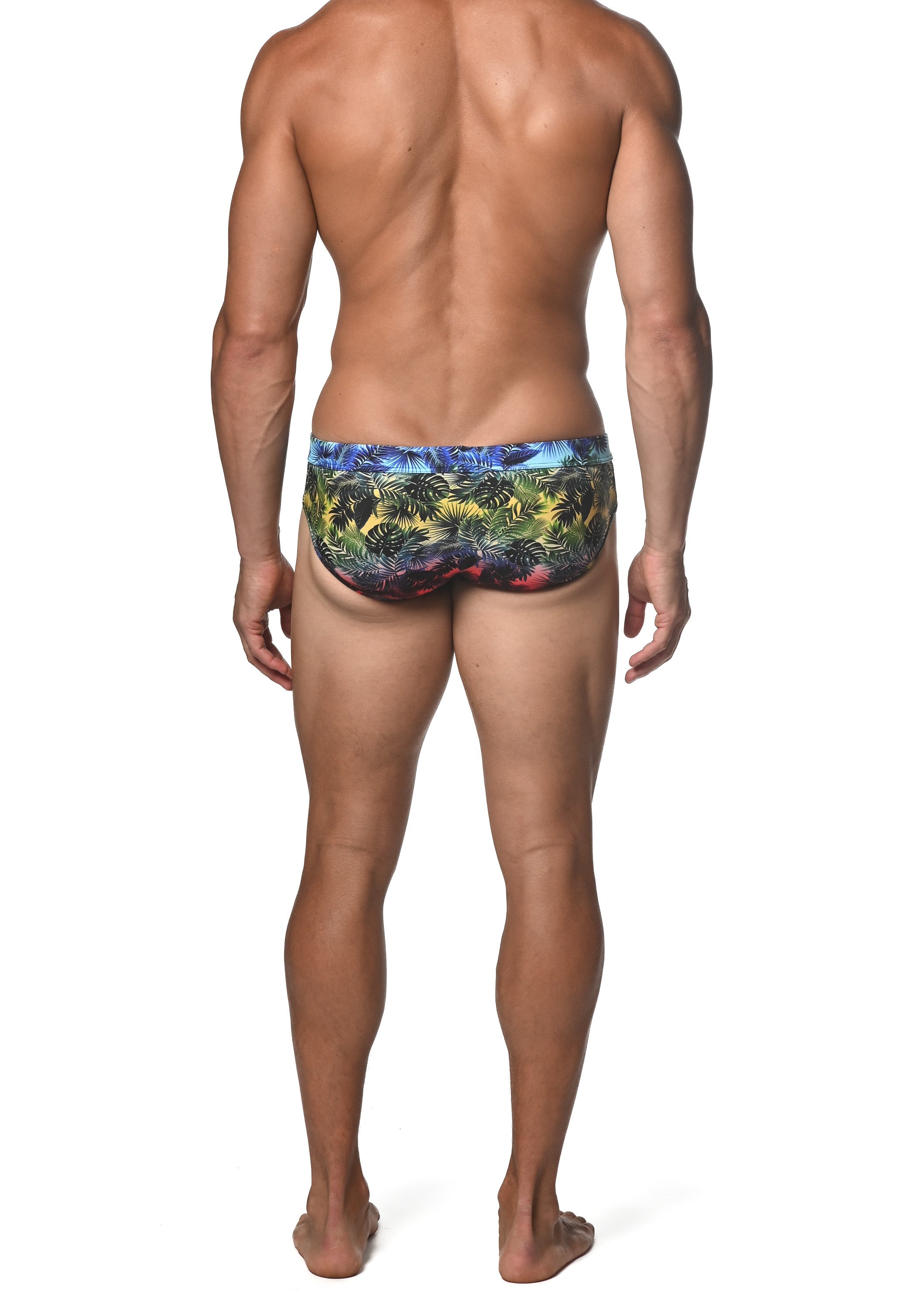 RAINBOW GRADIENT PALMS FREESTYLE SWIM BRIEF - DealByEthan.gay loves ST33LE